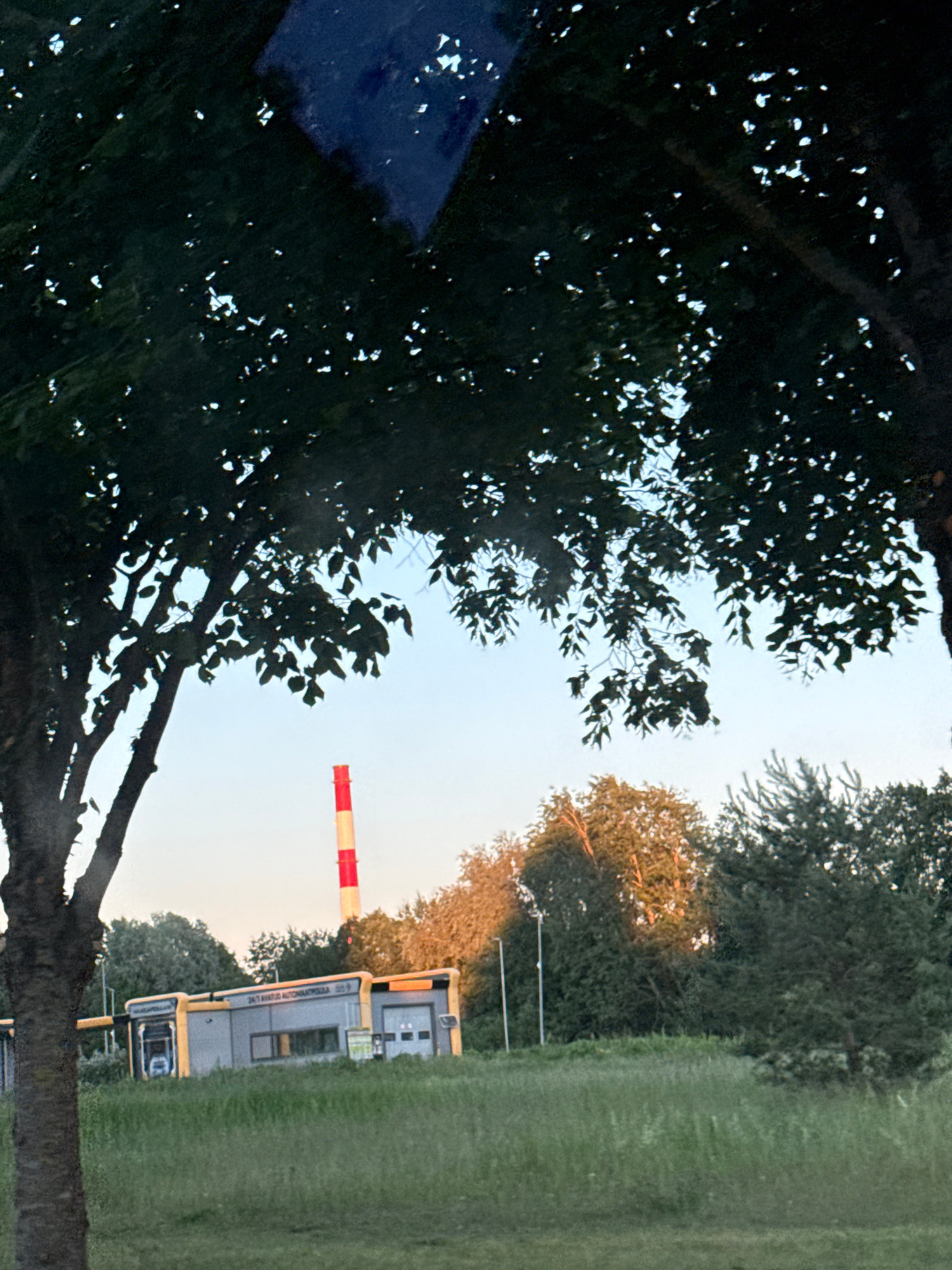 The image captures a view through a window, with dark tree branches and foliage partially obscuring the scene. In the background, a red and white striped smokestack rises against a pale blue sky. To the left of the smokestack is a modern, grey building with yellow accents, identified by text on its facade as "24/7 AVATUD AUTOPESULA" (24/7 Open Car Wash), suggesting it's located in Tallinn, Estonia. A car can be seen inside one of the open bays of the car wash. The area in front of the building is covered in tall green grass. The lighting indicates it is either early morning or late afternoon, with warm light illuminating the trees in the background.