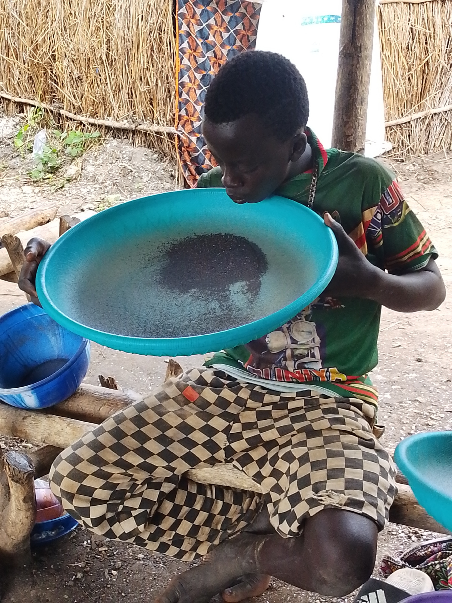 In Otulu, Nigeria, a young boy is captured in a close-up shot, focusing on his activity of panning for materials in a large, teal basin. The basin, held close to his face, contains a dark, granular substance, suggesting he is sifting or washing something. He is dressed in a green t-shirt with colorful patterned accents and wears black and beige checkered shorts. The setting appears to be an outdoor, rustic environment, with a backdrop of dried stalks of grass or reeds, possibly part of a traditional dwelling or fence. Wooden logs serve as seating or support structures. A blue basin is visible to the left, and another teal basin is partially seen on the right. The ground is covered in loose soil and pebbles. The overall impression is of a focused moment of labor or practice in a rural Nigerian setting.