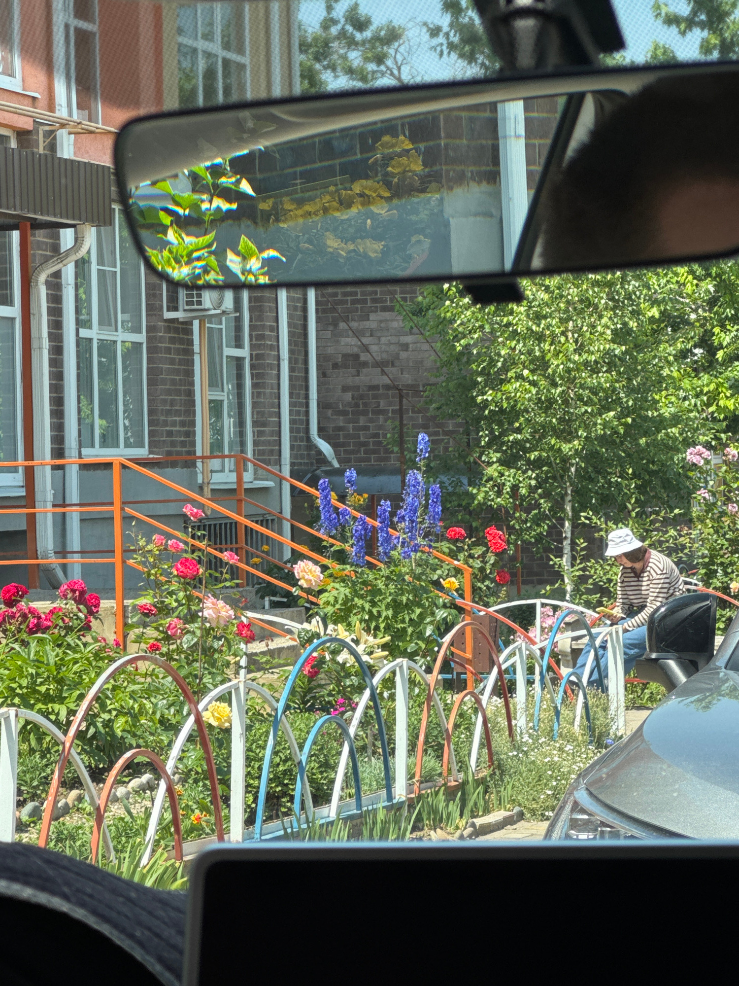 This is a vertically oriented, slightly blurry, sun-drenched photograph taken from a vehicle, likely at eye level. The scene is a mixed outdoor environment, featuring a garden with a variety of flowers and greenery, situated next to a brick building with multiple windows.
In the foreground, a car's side mirror reflects part of the scene, showing green leaves and hints of a building. To the right of the mirror, a person wearing a striped shirt and a white cap is leaning over a colorful metal garden structure. This structure appears to be made of interconnected hoops in red, white, and blue, possibly part of a garden decoration or trellis.
The garden itself is abundant with blooming flowers, including vibrant red roses, pale pink roses, yellow roses, and tall spikes of blue flowers. The greenery is lush and appears healthy, suggesting a warm season. Behind the garden, a brick building with rows of windows is visible. Some windows have what look like air conditioning units.
The lighting suggests it's daytime, with bright sunlight casting shadows. The overall mood is peaceful and serene, showcasing a moment of gardening or relaxation outdoors. No text is visible in the image. The location context provided is Mikhaylovsk, Russia.
