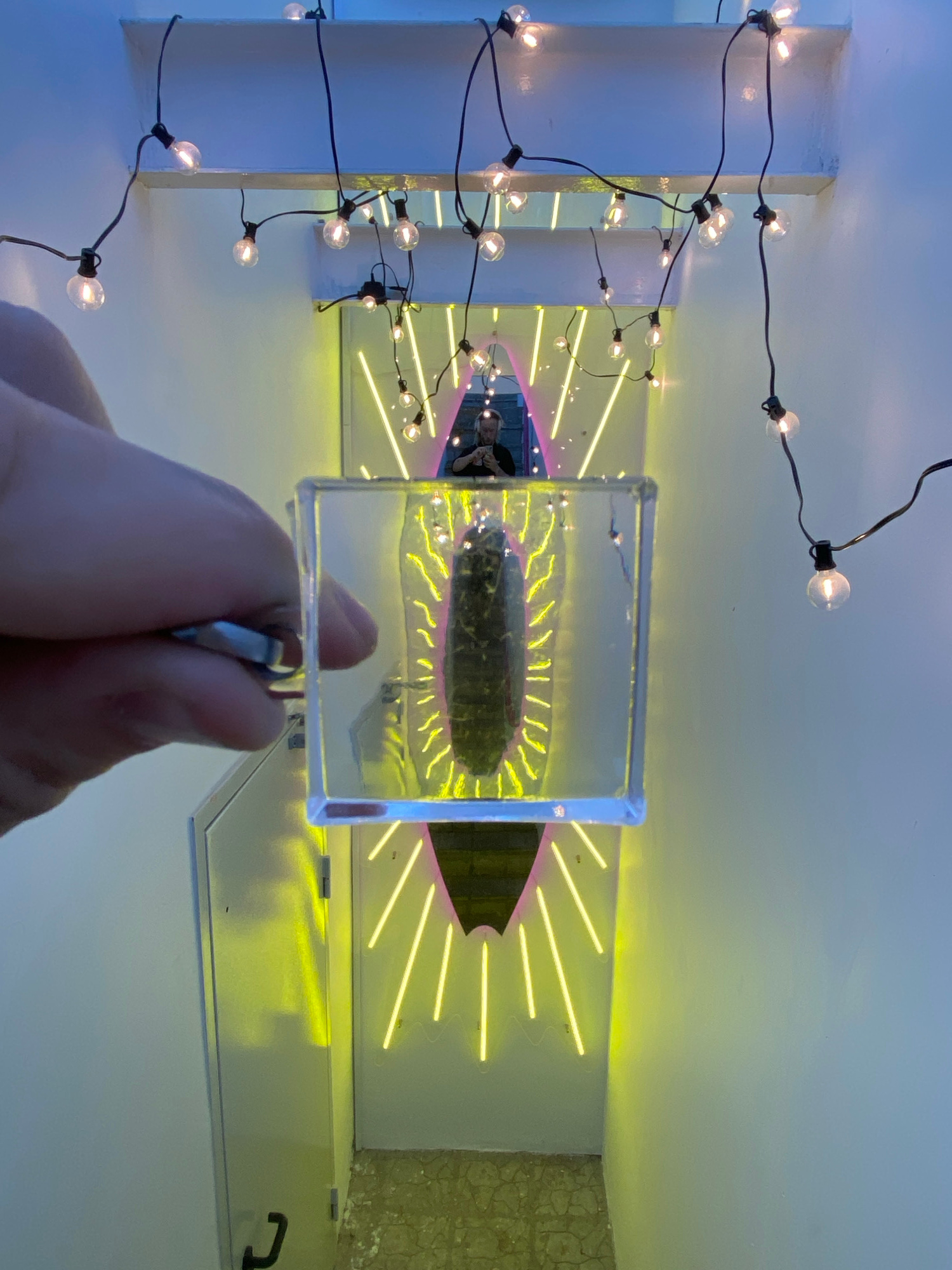 A close-up shot focuses on a hand holding a clear rectangular object containing what appears to be a preserved insect or specimen. The background is dimly lit with a string of small, incandescent lights creating a festive or decorative atmosphere. Behind the hand and the object, a doorway is visible, framed by bright yellow neon lights arranged in a sunburst or radiating pattern. A person is partially visible in the reflection of a mirror or glass surface within the doorway, looking down at their phone. The overall environment suggests an indoor setting, possibly a room or hallway with a contemporary or artistic decor. The image does not contain any identifiable landmarks or details specific to Khabarovsk, Russia.