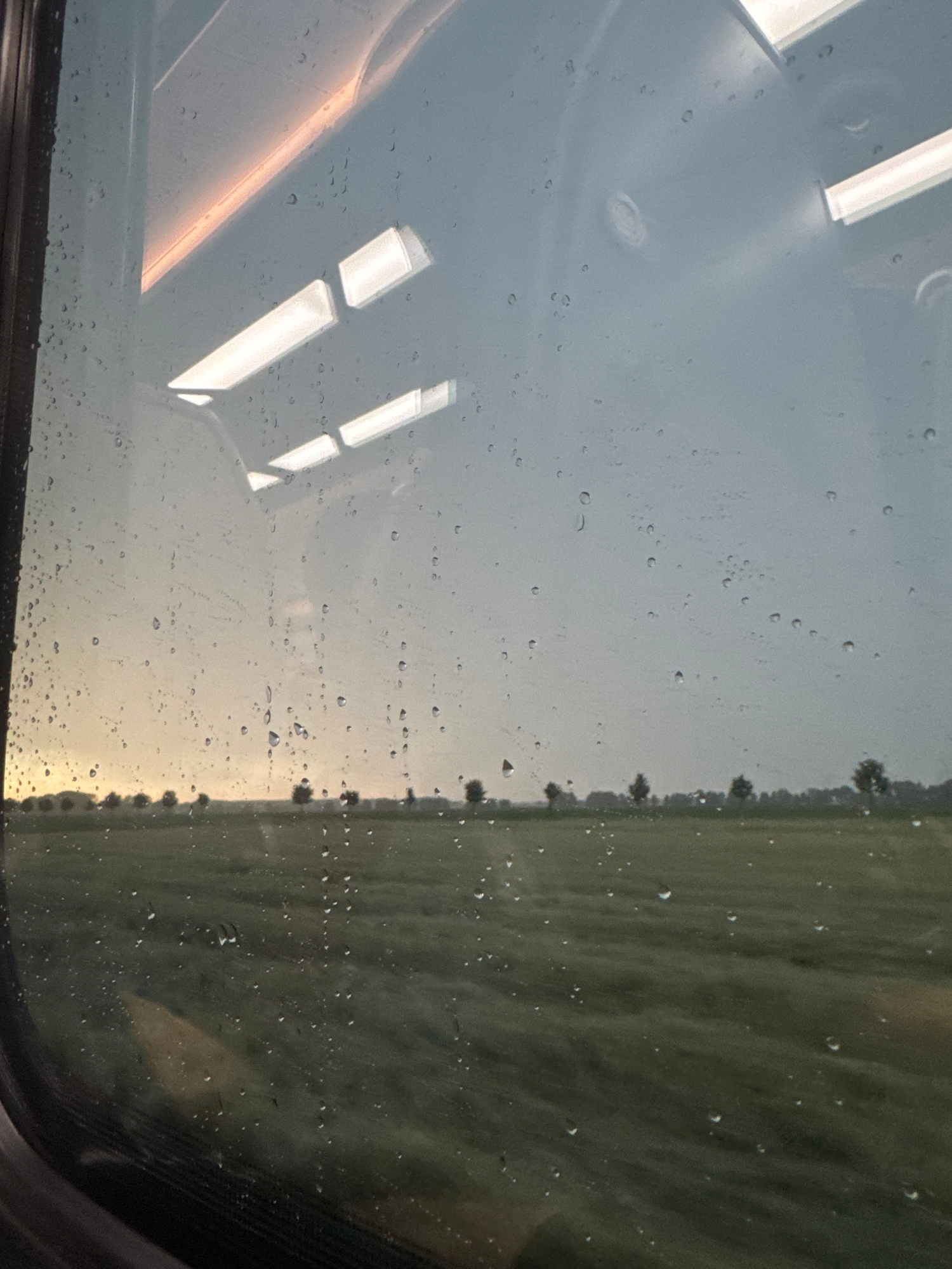 This image depicts a view from inside a vehicle, likely a train, looking out a window at a landscape. The window is covered in numerous raindrops, distorting the view. Inside the vehicle, artificial lights are visible, one long rectangular light strip with a warm orange hue, and several other bright, cool-toned rectangular lights reflected on the glass.
Outside, a field of green grass stretches towards a horizon lined with a sparse arrangement of trees. The sky is overcast and a pale gray, with a hint of warm light, possibly from sunrise or sunset, low on the left horizon. The overall scene suggests a journey during potentially inclement weather. The location is identified as Ptaszkowo, Poland.