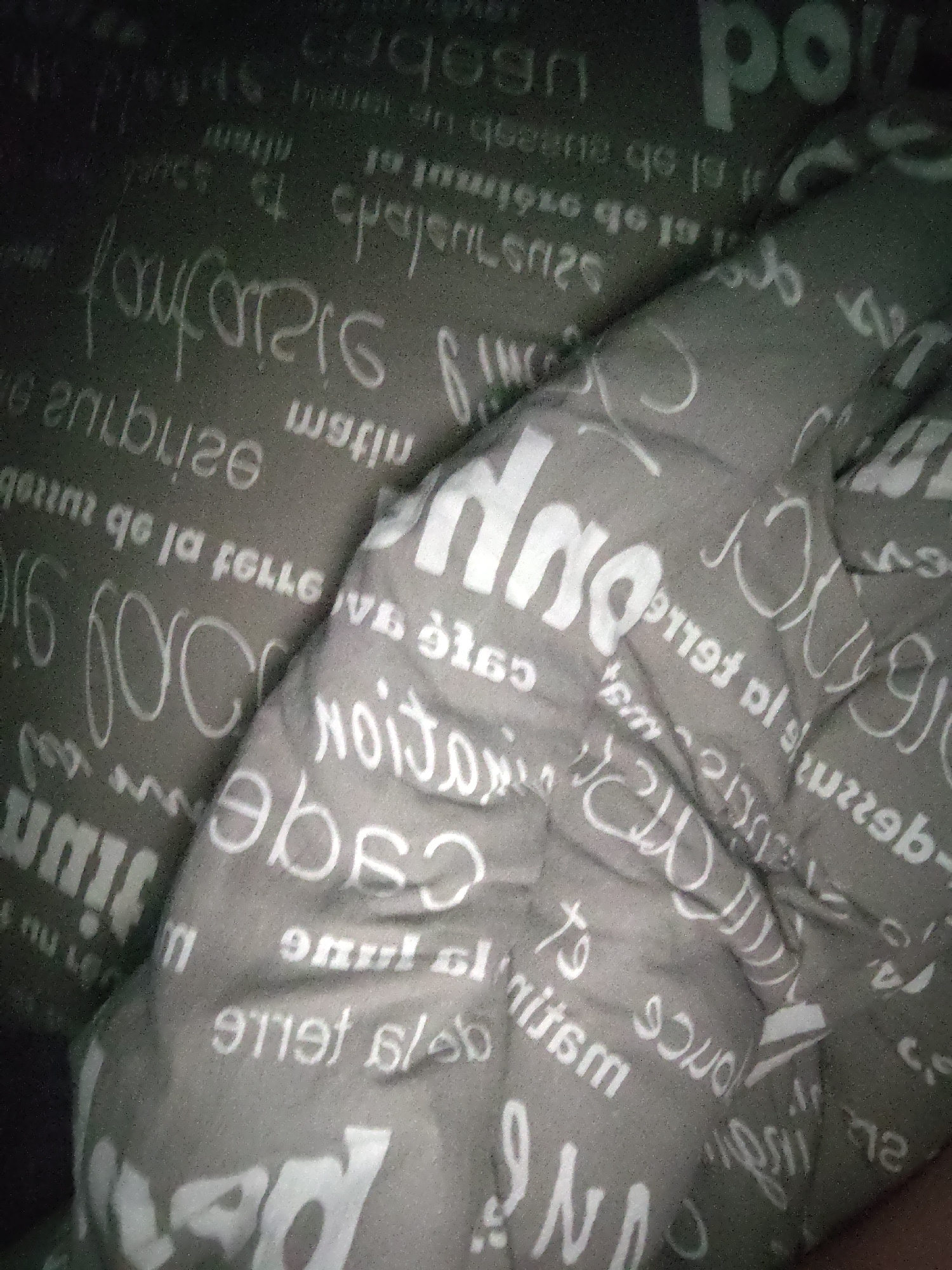 A close-up, top-down view captures a gray blanket with white text. The text appears to be in a script font and includes words like "pour", "café", "moitié", and "voici". The blanket is folded and draped, creating shadows and highlights that obscure some of the text. The overall impression is one of a soft, textured fabric with a repeating typographic pattern. The image does not provide any information about the location in the city of Homyel, Belarus.