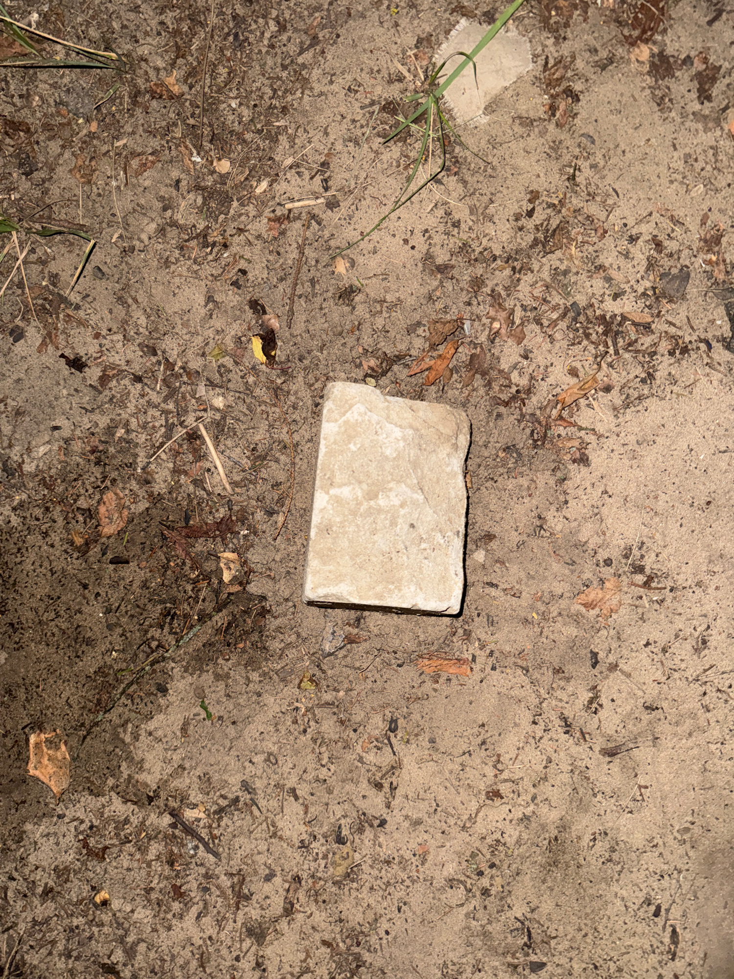 A light-colored, rectangular stone lies on a sandy ground littered with dry leaves, twigs, and sparse green grass. The stone is positioned horizontally in the center of the frame and appears to have a rough texture. The ground is a light brown and appears to be outdoors, possibly in a park or natural area within the city of Unknown, Unknown. There are no people or animals visible in the image.