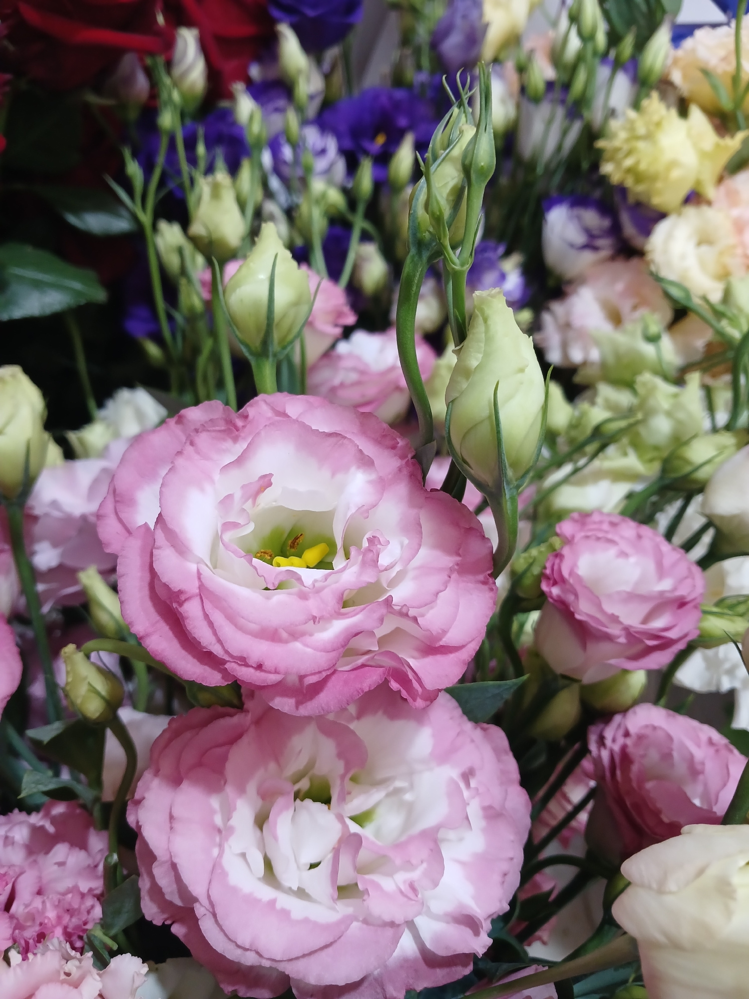 The image shows a close-up of a bouquet of flowers, predominantly pink and white eustomas, with some buds and other flowers in the background in shades of purple, yellow, and red. The lighting is natural and diffused, suggesting an indoor setting. The arrangement appears to be for decorative purposes. There is no indication of any specific location in Vulcănești, Moldova, or any people, actions, or interactions. The scene is static and focused on the floral composition.