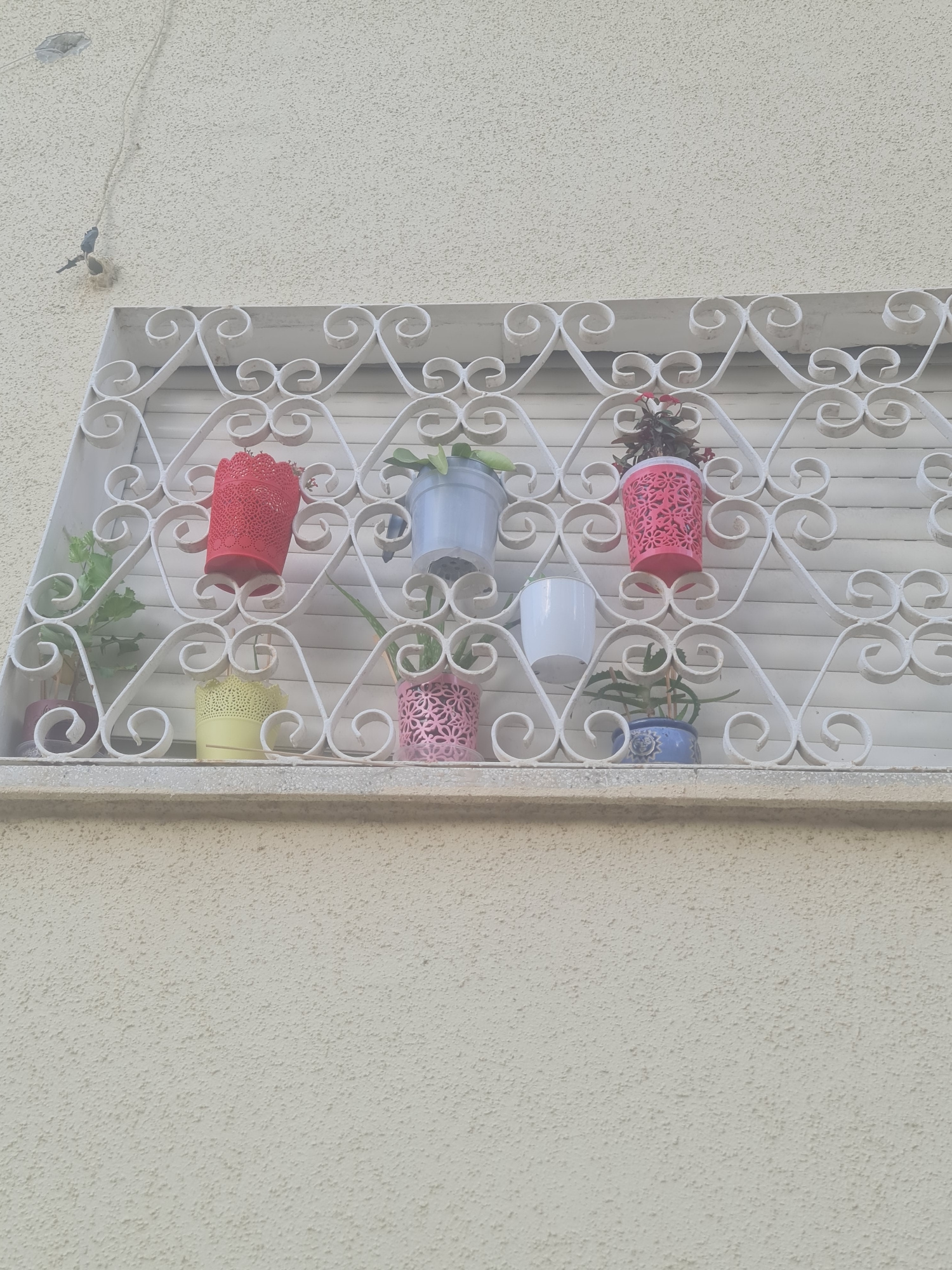 A white wrought iron window grate with a decorative scroll pattern frames a set of colorful planters holding small plants. The grate is mounted on a textured, light beige wall, and behind it, a slatted blind is visible. From left to right, the planters are: a small dark pot with a green plant, a yellow pot with a green plant, a red pot with a green plant and red flowers, a light blue-gray pot with a green plant, a white pot with a green plant, a pink pot with a green plant, and a blue pot with an aloe plant.