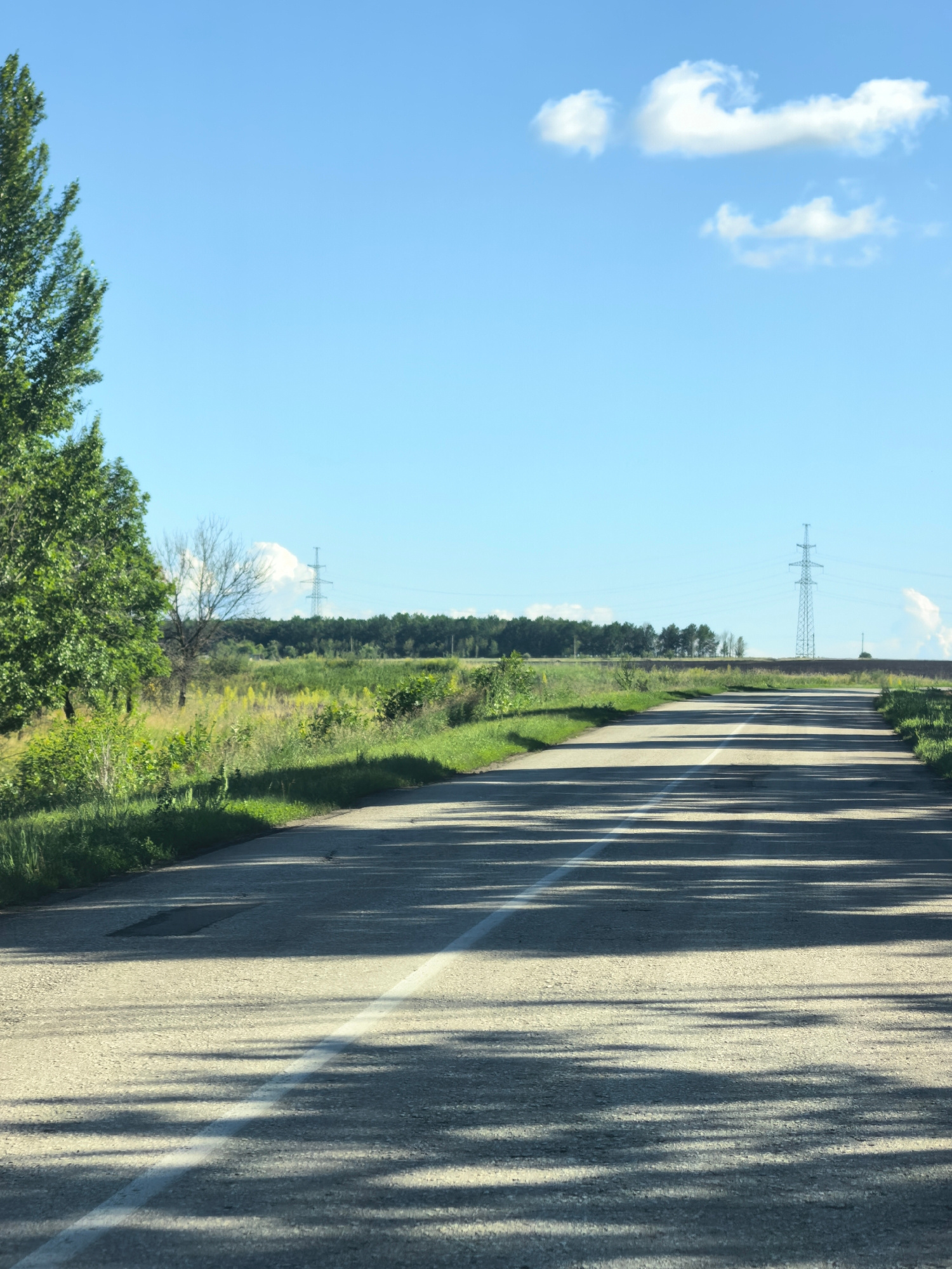 The image depicts a road with a single white line down the center, bordered by green grass and vegetation. A large tree with dense green foliage stands on the left side of the road. In the distance, a line of trees forms a forest, and a tall electrical pylon is visible against the clear blue sky. There are a few scattered white clouds in the sky. The road is casting long shadows, suggesting the sun is low in the sky, likely late afternoon or early morning. The environment appears rural and undeveloped, with no visible buildings or people. The general appearance of the landscape, including the type of vegetation and the presence of electrical infrastructure, is consistent with a location in the city of Severnyi, Russia.