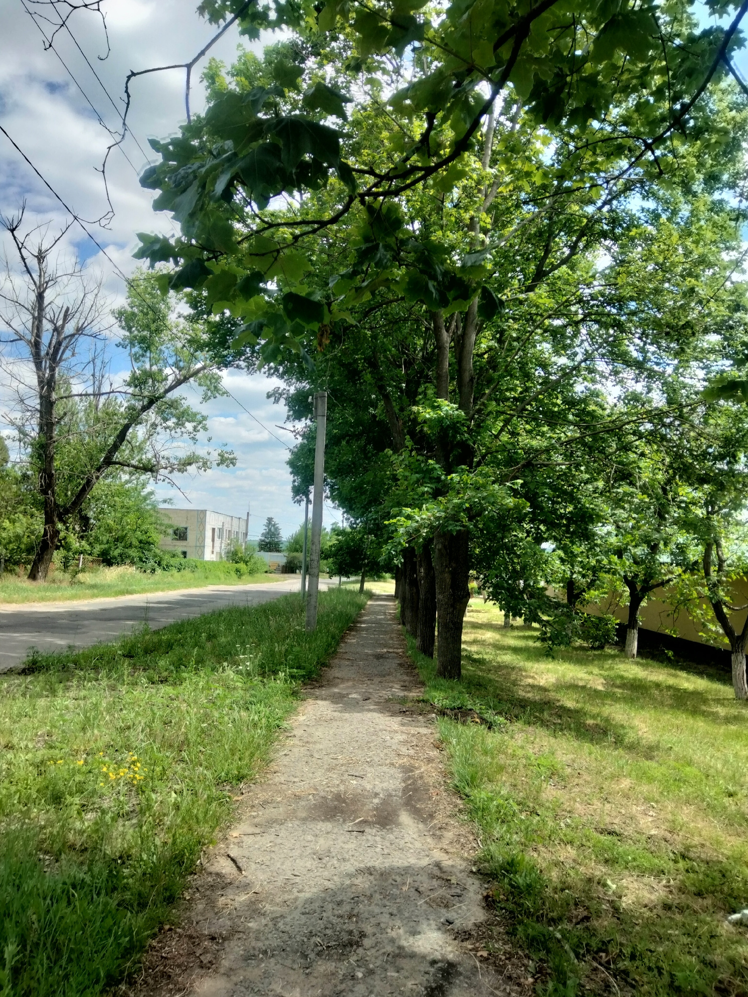 The image depicts a weathered, concrete pathway running alongside a tree-lined street in a rural or suburban area. Lush green grass and some yellow wildflowers border the path, which leads towards a building in the distance. The street is paved and appears to be in good condition, with a few scattered leaves. Overhead, power lines stretch across the frame, and the sky is partially cloudy. The overall impression is one of a quiet, perhaps slightly neglected, but scenic outdoor environment.