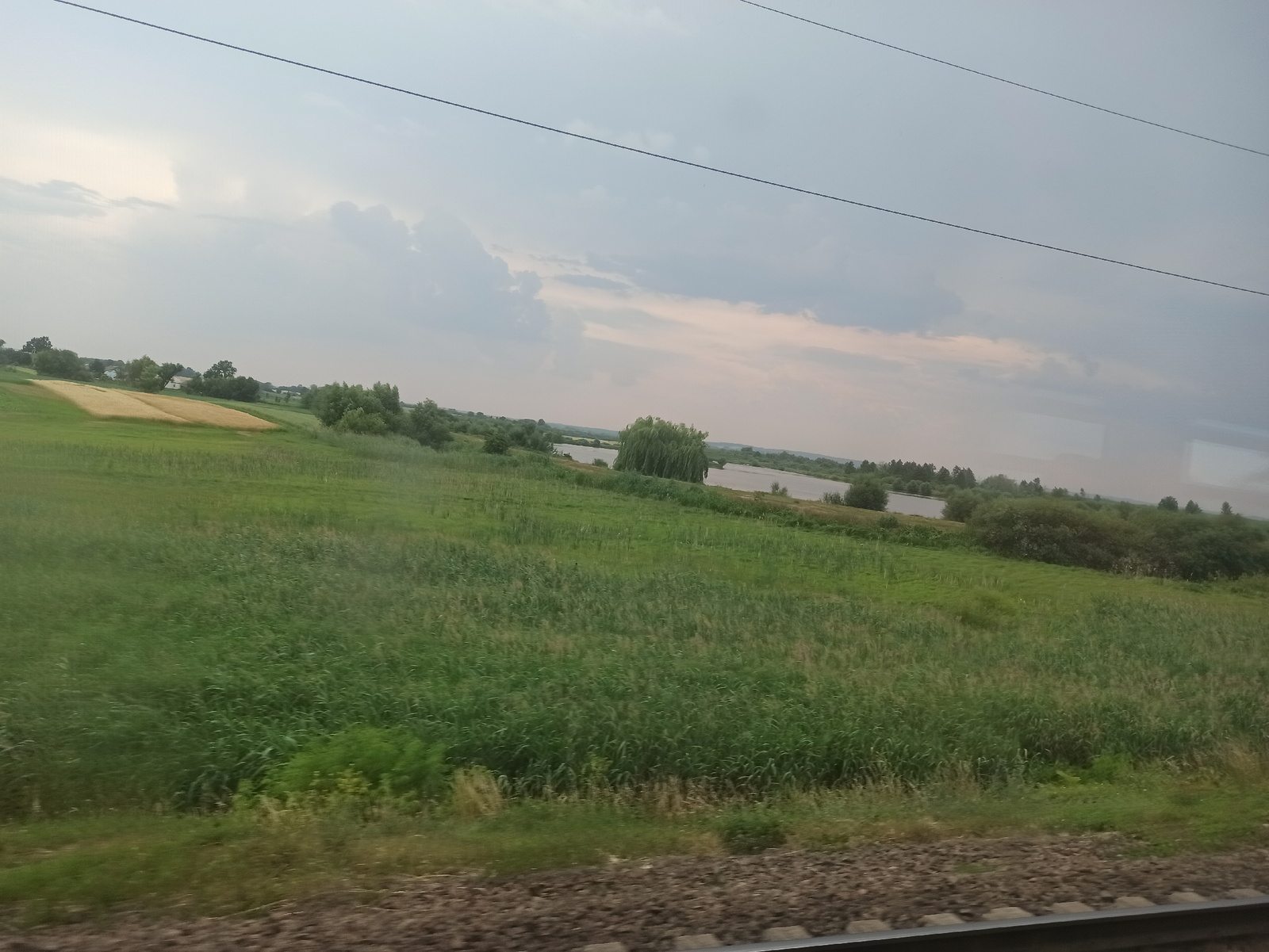 A horizontal, slightly tilted, outdoor, medium shot captures a rural landscape viewed from a train. In the foreground, railroad tracks run horizontally across the bottom of the frame. Beyond the tracks, a vast expanse of green fields stretches towards the horizon. The fields are covered in tall, dense grass with some scattered patches of lighter green and yellow, suggesting different types of vegetation or ripening crops. In the middle ground, a body of water, possibly a river or lake, is visible, bordered by a line of trees and bushes. Some of these trees appear to be willows, with their characteristic drooping branches. In the background, more trees and a distant treeline are visible. The sky above is overcast with a mix of light gray and soft pinkish hues, indicating a cloudy or twilight setting. Two thin, dark power lines traverse the sky diagonally from the top left to the top right of the frame. The overall impression is one of a serene, natural environment.