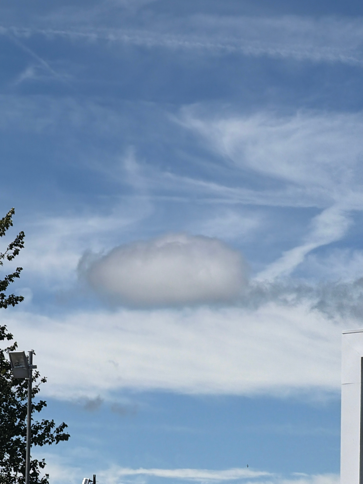 The image shows a bright blue sky with wispy white clouds. One distinct cloud formation is oval-shaped and suspended in the center of the frame. There are also streaks of thinner clouds stretching across the sky. In the bottom right corner, there is a hint of dark green foliage from trees, and a street lamp is visible. A building with a white facade and dark window frames can be seen at the top edge of the image. The scene suggests it is daytime, with clear weather and good visibility. The overall mood is serene and natural. There is no visible text in the image.