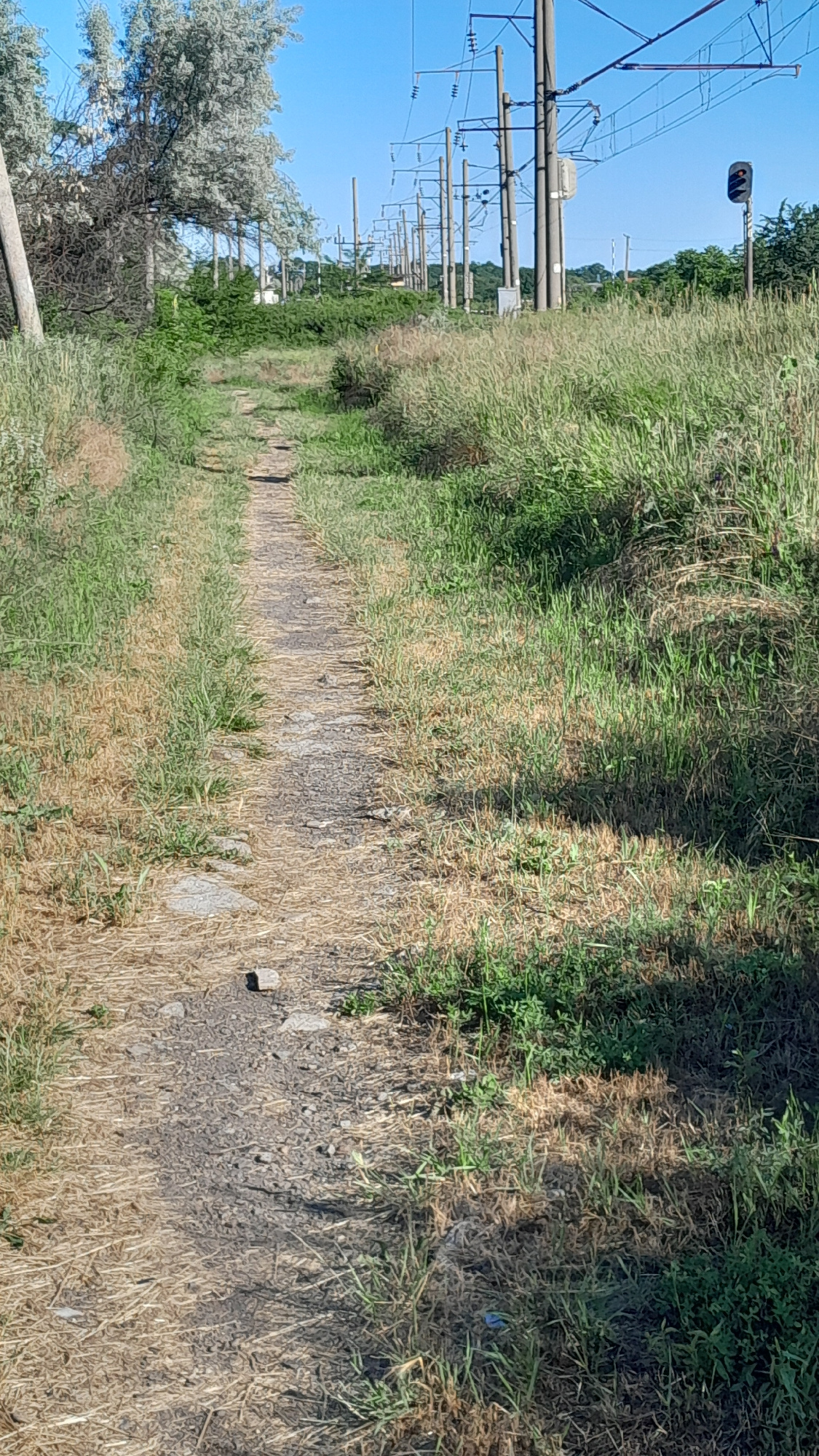 A dirt path winds through overgrown grass under a clear blue sky. The path appears to be made of packed dirt and small stones, with patches of dry, yellow grass growing on either side. In the background, several tall utility poles with electrical wires stretch into the distance. A single traffic signal light is visible on the right side of the image, showing a red light. The overall scene suggests an outdoor, possibly rural or semi-urban environment, with evidence of an active electrical infrastructure.