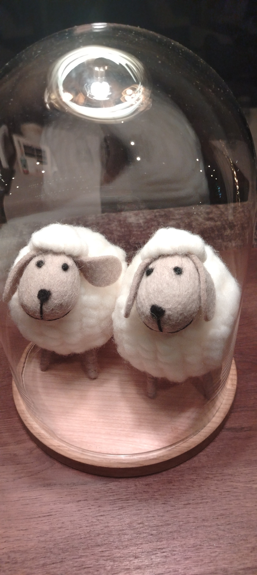 Two handcrafted felt sheep figurines are displayed inside a clear glass dome with a wooden base. The sheep have white, fluffy bodies, light brown heads with black bead eyes, and small black stitched noses and mouths. They are positioned side-by-side on a light-colored wooden surface within the dome. The dome is transparent, allowing a view of the reflections and the background, which includes a dark surface and some blurred lights. The wooden base is circular and rests on a dark, textured surface, likely a wooden table. The image appears to be taken indoors, possibly in a home or retail setting. The location in Sofia, Bulgaria is not discernible from the visual information provided in the image.