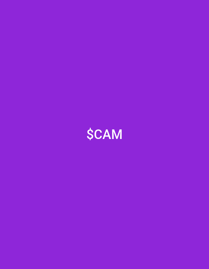 The image is a plain purple background with the white text "$CAM" centered on it. There are no elements that suggest a specific location in Homyel, Belarus, or any environmental context. The image is purely textual and abstract.