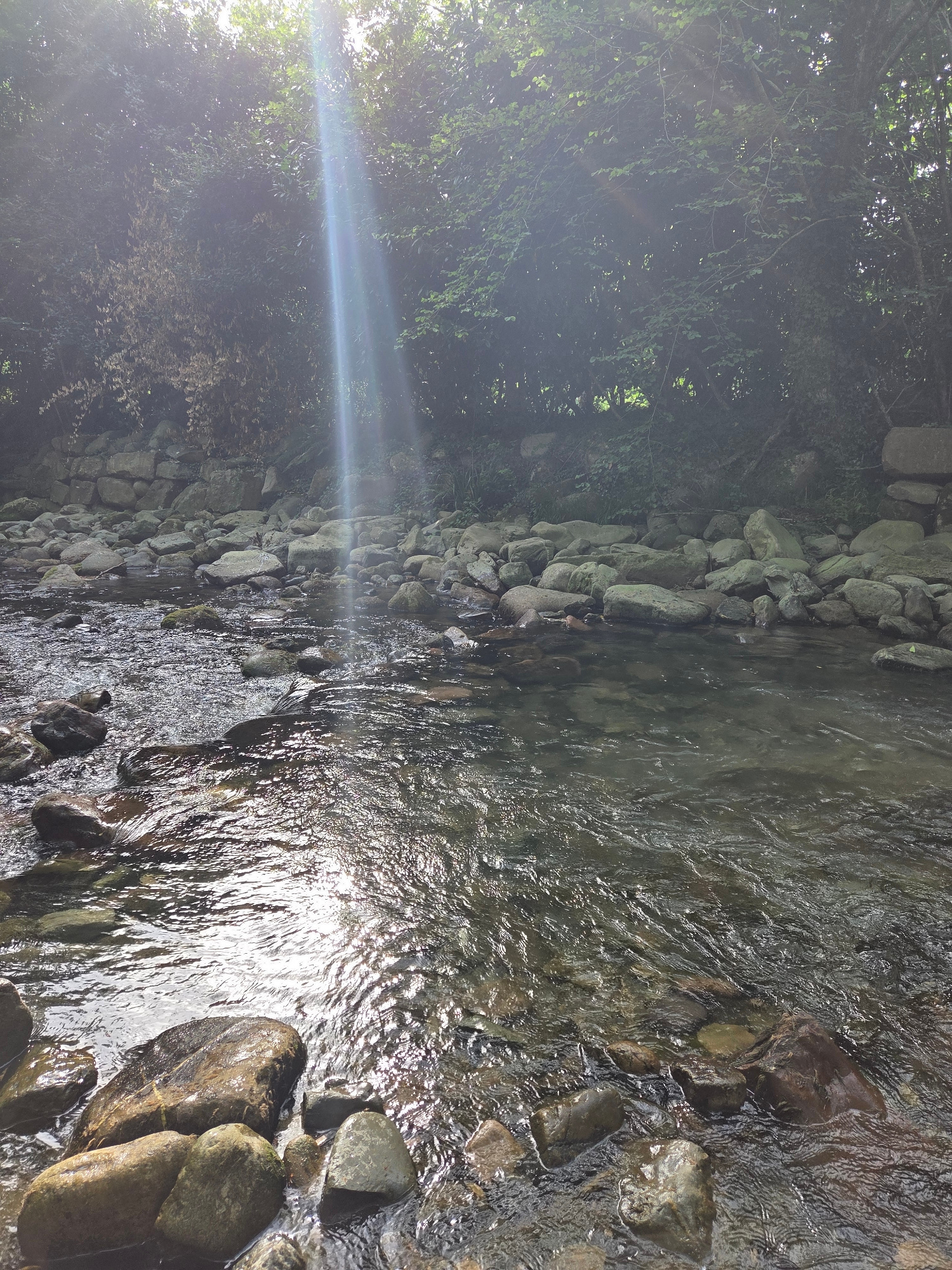 A shallow, clear stream flows over a rocky bed, with sunbeams filtering through the dense green foliage of trees lining the bank. The water is slightly rippled, reflecting the sunlight in shimmering patterns. Large, rounded stones are visible both in the water and along the bank, some partially submerged. The bank is covered with more stones and vegetation, with a line of larger boulders forming a natural barrier. The overall impression is one of a peaceful, natural setting, possibly a river or brook in a wooded area. The location is identified as Baztan, Spain. There are no people or animals visible in the image, and no specific actions are taking place beyond the natural flow of the water and the play of light.