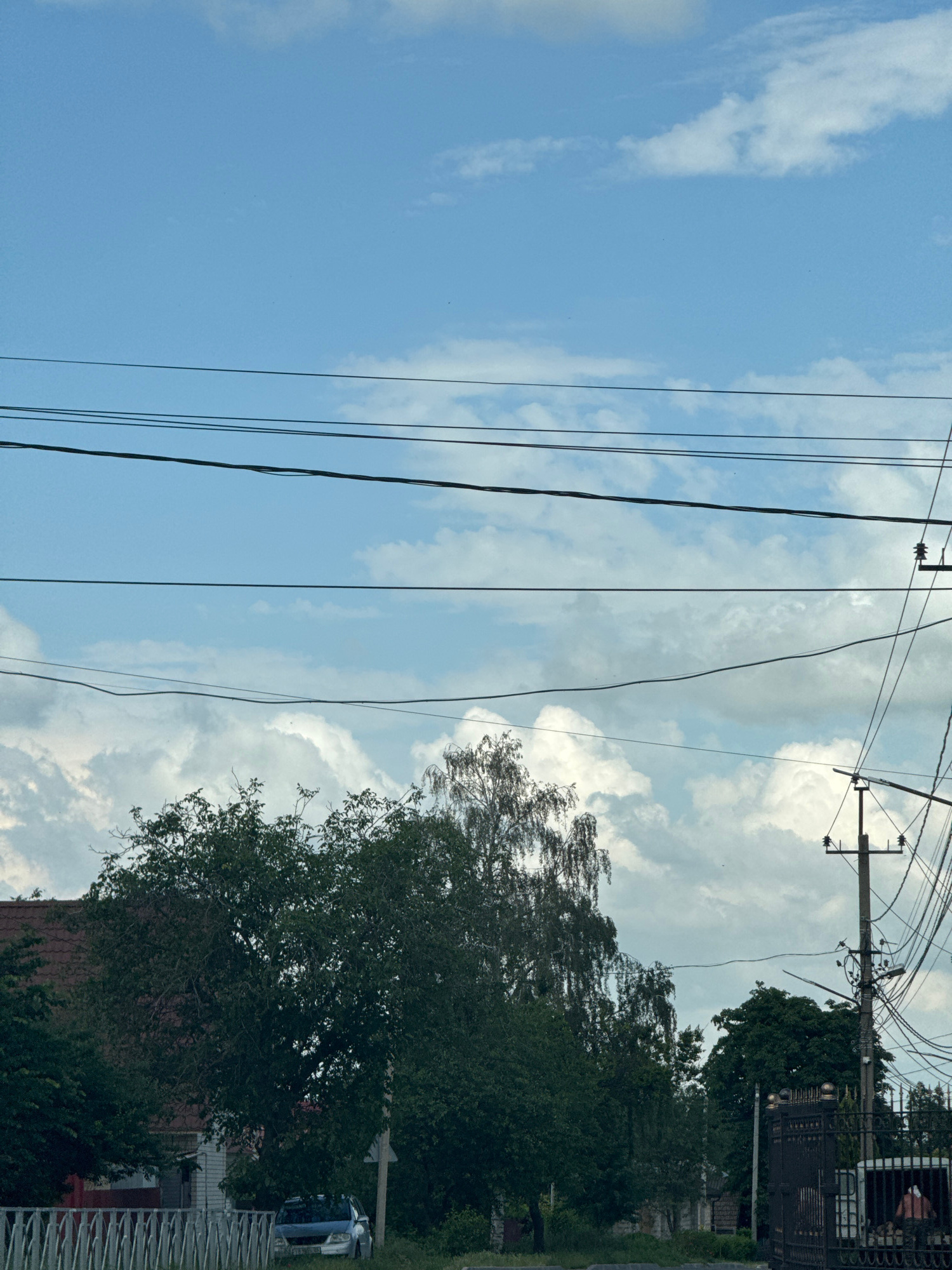 The image depicts a street scene with overhead power lines dominating the upper portion of the frame. Below the power lines, a bright blue sky is visible, interspersed with fluffy white clouds. Trees, some appearing to be birch with drooping branches, line the street. A building with a red-tiled roof is partially visible behind the foliage on the left. In the foreground, a white picket fence runs along the side of the street. A silver car is parked near the fence. On the right side of the image, a utility pole with numerous wires is present, alongside a decorative black metal gate. A person can be seen through the gate, appearing to be engaged in activity within a gated area. The scene is set in Mikhaylovsk, Russia.