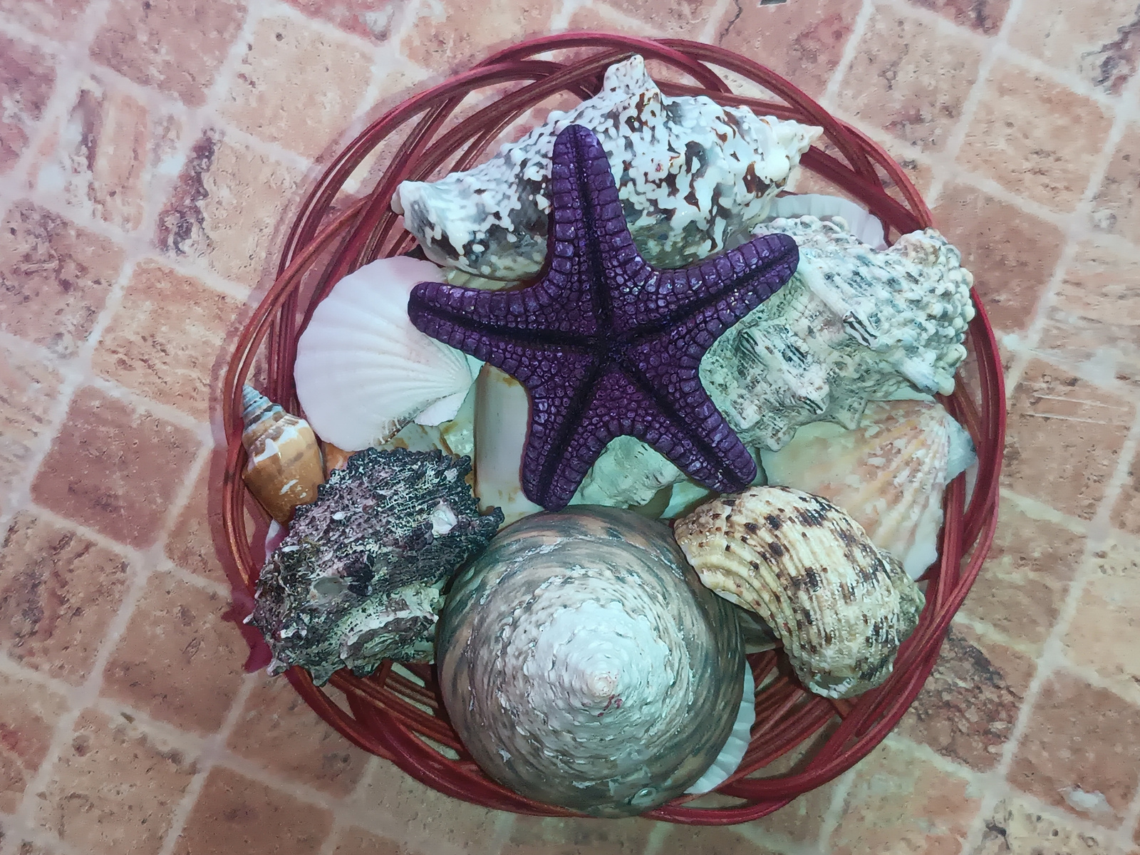 A close-up, overhead view shows a red wicker basket filled with various seashells and a purple starfish. The basket is placed on a surface that appears to be tiled with a brick pattern in shades of brown and orange. The shells are of different sizes, shapes, and colors, including large conch shells, smaller spiral shells, and a white fan-shaped shell. The purple starfish is prominently placed in the center of the arrangement. The lighting is even, casting no strong shadows. There are no people or animals present in the image. The image does not provide any information that would allow for determining the location in the city of Sluck, Belarus.