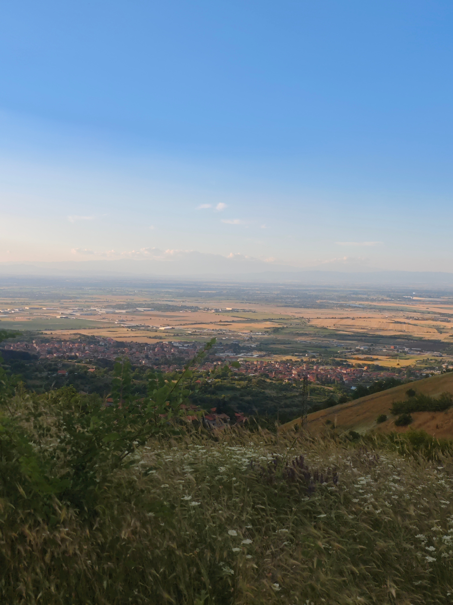 An elevated, wide shot captures a hazy, sunlit vista looking out over a valley and a distant city. In the foreground, a grassy hill slopes downwards, covered with wildflowers and tall, dry grass. The city of Asenovgrad, Bulgaria, spreads out below, a dense cluster of red-tiled roofs nestled amongst greenery. Beyond the city, the valley floor is a patchwork of agricultural fields, some golden-brown, others a muted green, interspersed with industrial buildings and a scattering of smaller settlements. Faint mountain ranges are visible in the far distance, softened by atmospheric haze under a clear, pale blue sky. There are no people visible in the image.