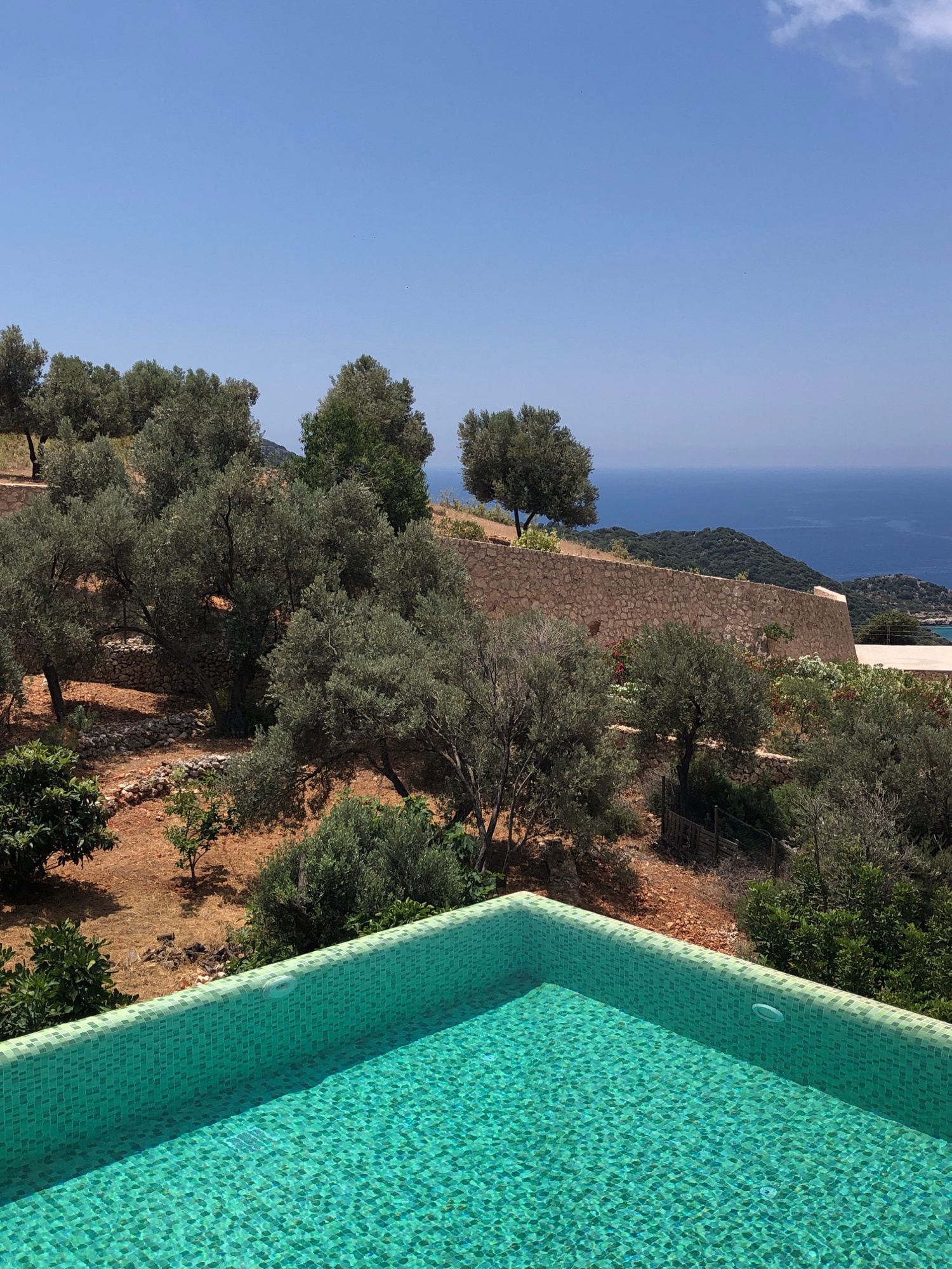 The image shows a swimming pool in the foreground, tiled in mosaic with varying shades of green and turquoise. The pool is filled with clear, shimmering water. Beyond the pool, the landscape slopes upwards, characterized by dry, reddish-brown earth and scattered olive trees with gnarled trunks and dense, grey-green foliage. A low, stone wall, constructed from rough, irregular blocks, runs horizontally across the middle ground, separating the cultivated area from the more natural terrain. Further up the slope, more olive trees are visible, interspersed with patches of vegetation. In the background, the deep blue expanse of the sea meets a hazy horizon, with rolling hills covered in dark green trees and vegetation forming the distant coastline. The sky is a clear, bright blue with a few wisps of white cloud. The scene evokes a sense of a Mediterranean villa, likely located in or near Kaş, Turkey, given the typical landscape and architectural style. There are no people or animals visible in the image. The overall impression is one of a serene, sun-drenched outdoor setting.