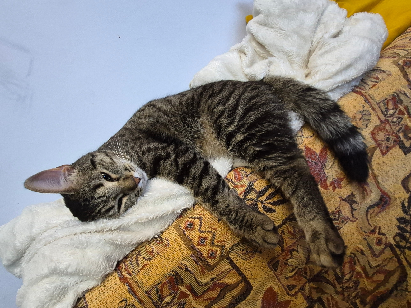 A tabby cat is lying on its side on a patterned sofa with a white blanket. The cat is mostly grey and black with white on its chest and paws. Its eyes are closed and it appears to be sleeping. The sofa has a yellow and brown pattern. The background is a light blue wall. The scene is an indoor setting.