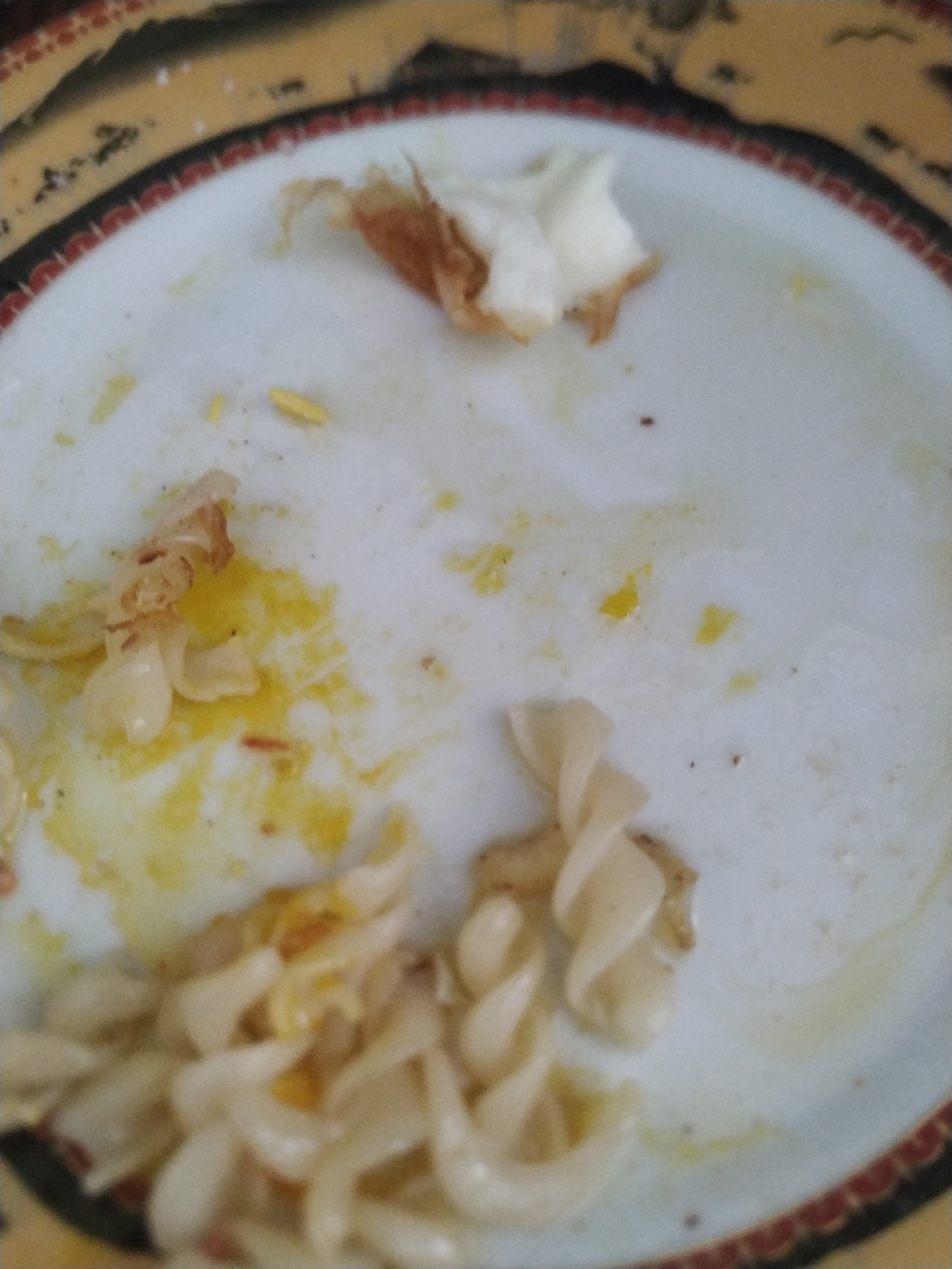 A close-up, overhead shot of a dirty white plate with remnants of food. The plate has a decorative rim with yellow and red patterns. On the plate, there are several pieces of pasta, some of which appear to be fusilli. There are also yellow streaks of sauce or oil, and some browned, shredded food items, possibly chicken or fish. A few small dark specks are also visible on the plate. The background shows a portion of the plate's decorative rim and what appears to be a tablecloth. The scene is likely from a meal that has just concluded.