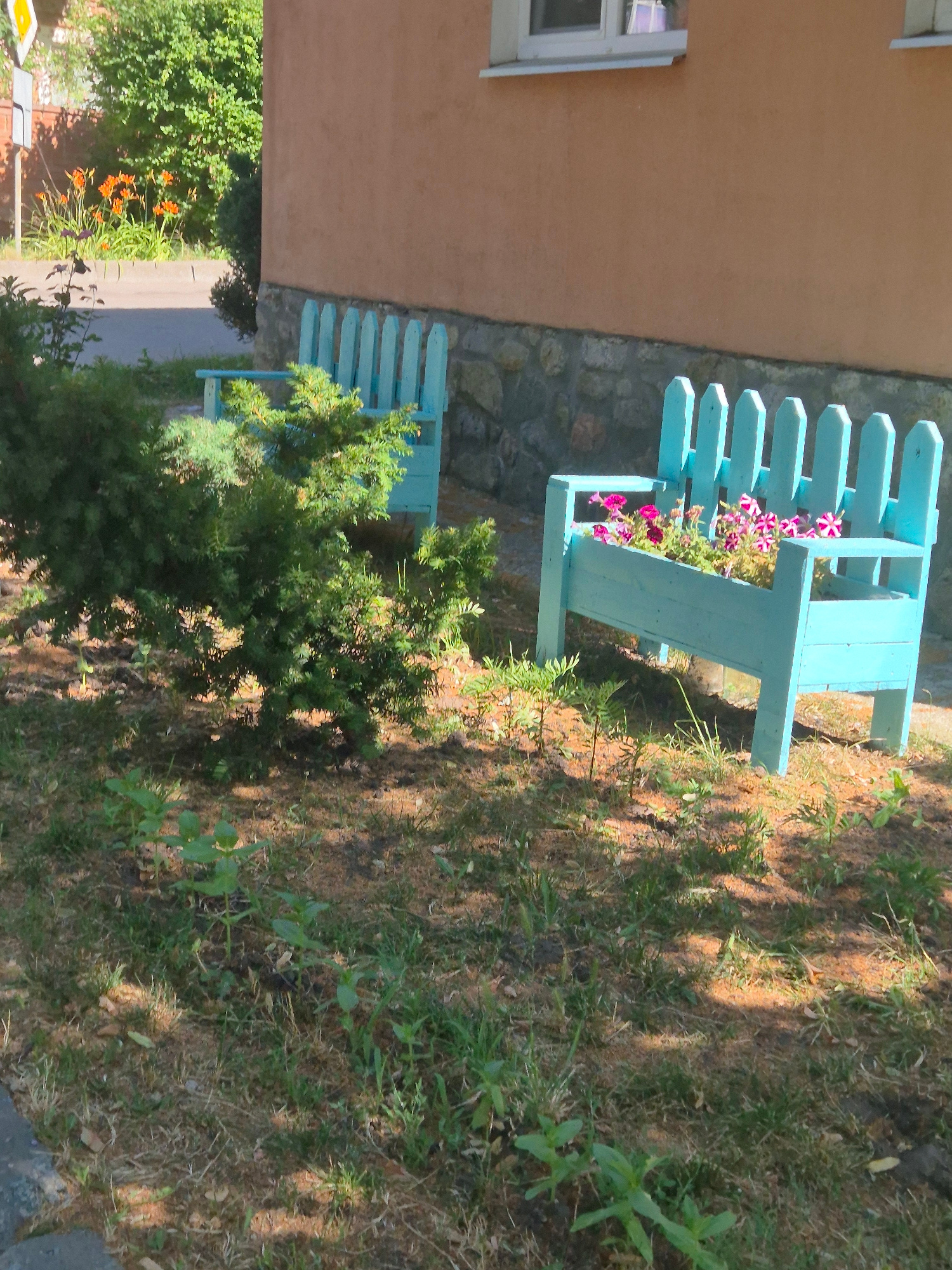 The image captures an outdoor scene in Sozonivka, Ukraine. In the foreground, a light blue wooden planter box shaped like a small bench with a picket fence back is filled with pink and purple flowers. Adjacent to it, a dark green evergreen shrub is partially visible. The ground is covered with dry grass and some scattered leaves. Behind the planter, a building with a peach-colored wall and a stone foundation is visible. The building has a window with a light-colored frame. To the left of the building and the planter, there is a glimpse of a road and orange flowers in the distance. The lighting suggests it is daytime, with shadows cast on the ground.