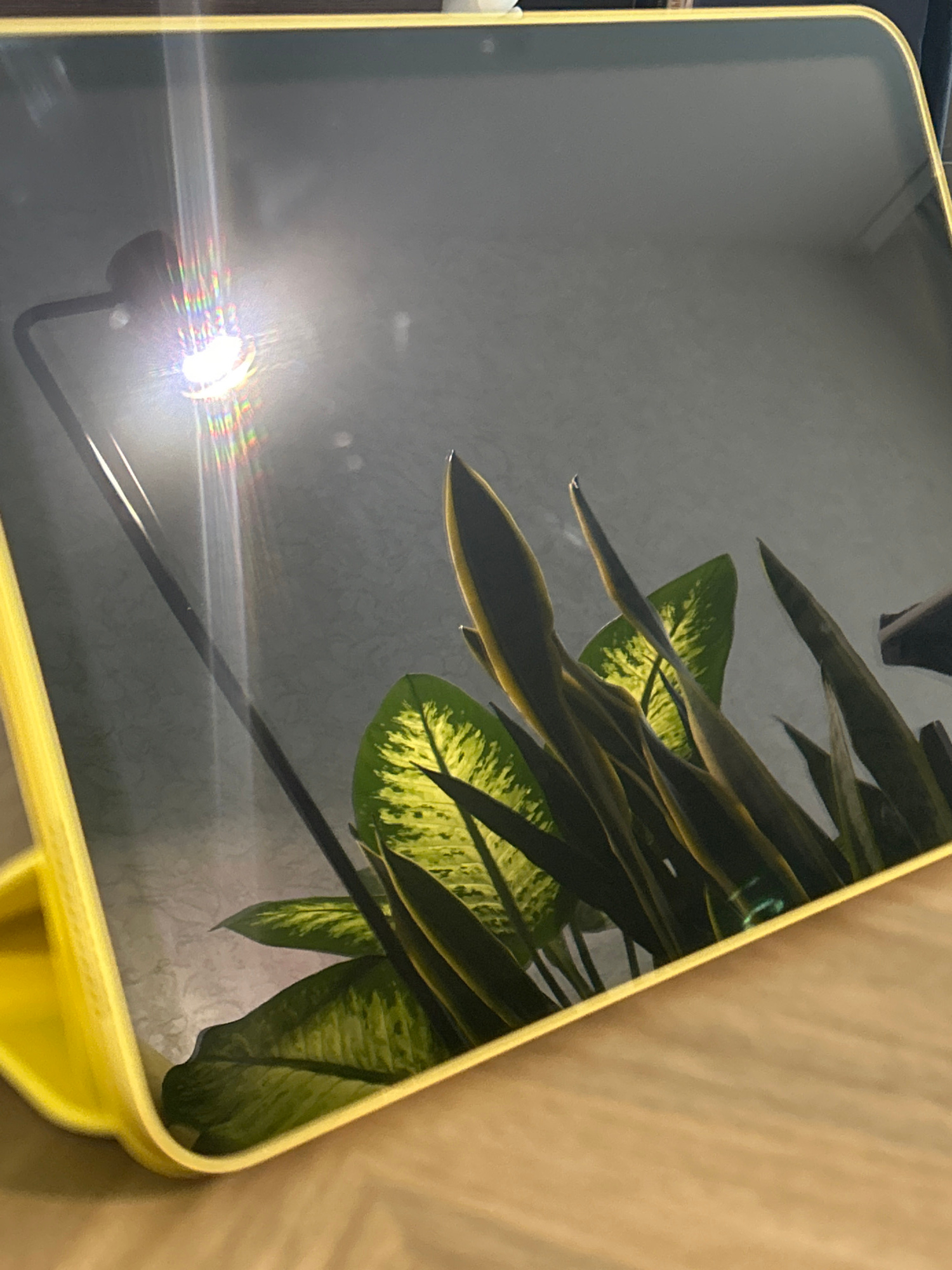 The image shows a close-up of a tablet device propped up on a wooden surface, possibly a table. The tablet's screen reflects a plant with large, variegated green and yellow leaves, and a lamp with a bright, multi-colored lens flare. The tablet itself has a yellow case. The background appears to be a wall. The scene is indoors, and the lighting suggests it may be evening or a dimly lit room. There are no people visible in the image. The exact location is unknown.