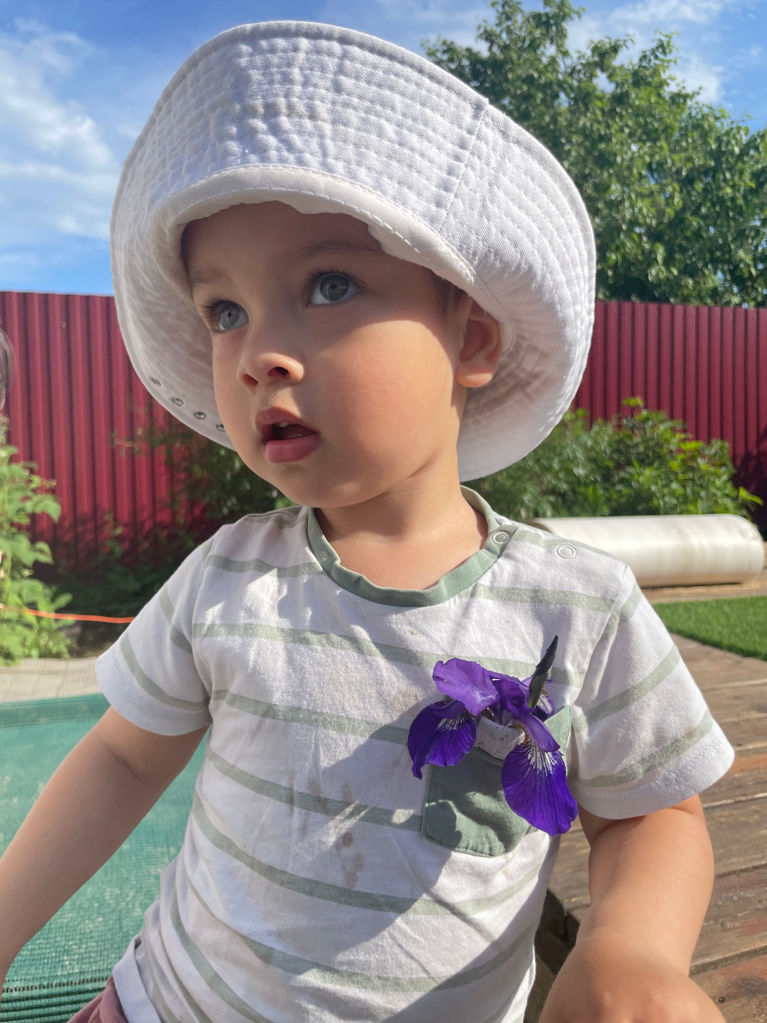A young child wearing a white bucket hat and a striped t-shirt is shown outdoors in Zav'yalovo, Russia. A vibrant purple iris flower is tucked into the child's shirt pocket. The background features a red fence, lush green foliage, and a bright blue sky with scattered clouds. The child's expression is one of innocent curiosity. The scene appears to be set in a backyard or garden area.