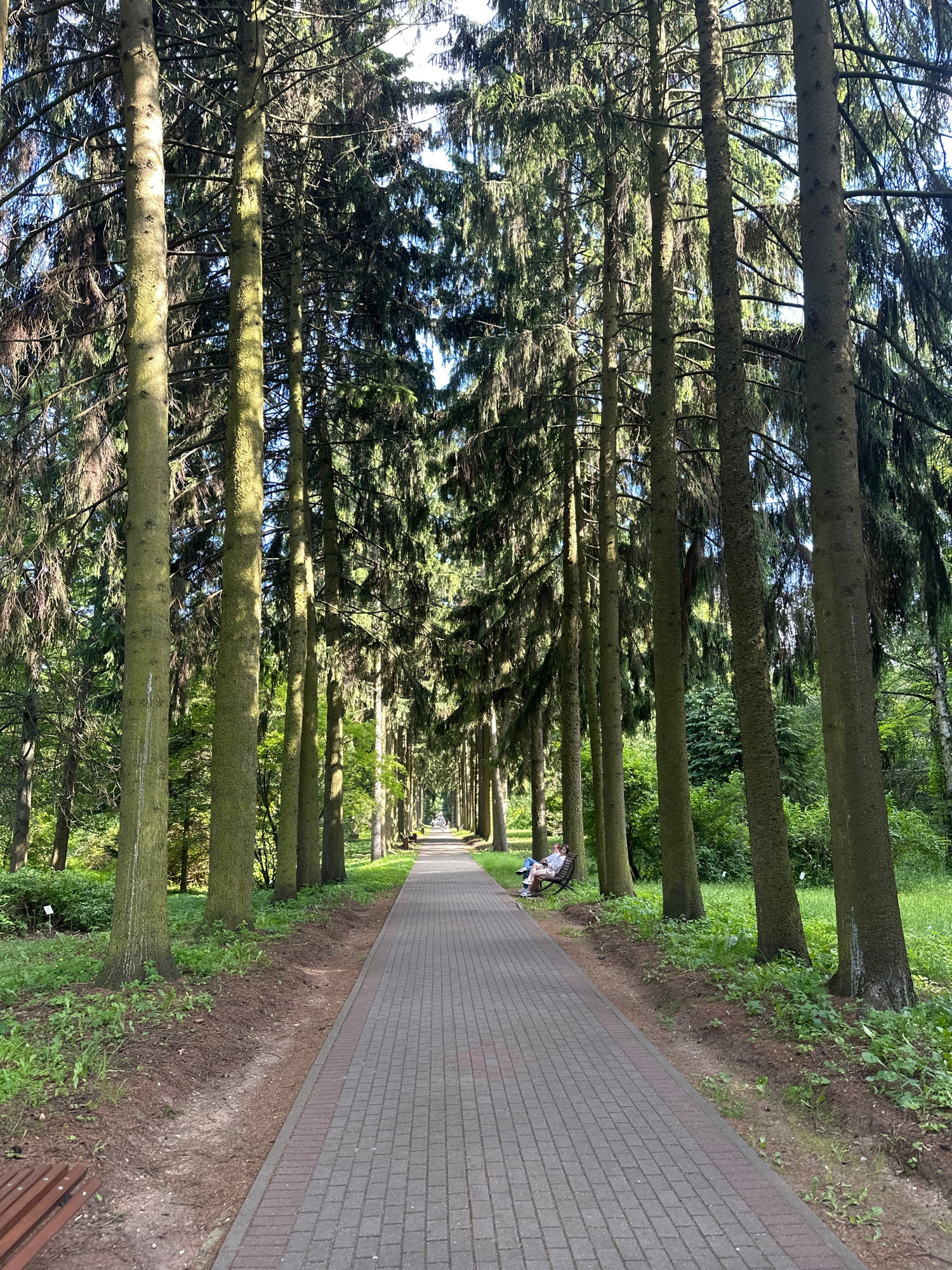 The image shows a paved pathway lined with tall trees, extending into the distance. The pathway is made of gray bricks with a reddish-brown border. Sunlight filters through the dense foliage of the trees, creating a dappled light effect on the path. On the right side of the path, a bench is occupied by two individuals, a man and a woman, who are seated and facing away from the camera. They appear to be relaxed, with the man wearing a light-colored shirt and the woman in a light-colored top and dark pants. The surrounding environment is lush and green, with grass and various plants growing on either side of the pathway. The scene evokes a sense of tranquility and nature.