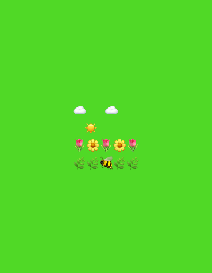 The image is a digital rendering on a plain green background. In the upper portion, there are two white clouds and a yellow sun with rays. Below the sun, there are five flowers arranged in a horizontal line: a pink tulip, a yellow daisy, a pink tulip, a yellow daisy, and a pink tulip. Beneath the flowers, there are leaves arranged in a horizontal line, with a bee in the center. The image does not depict any location in Tbilisi, Georgia.