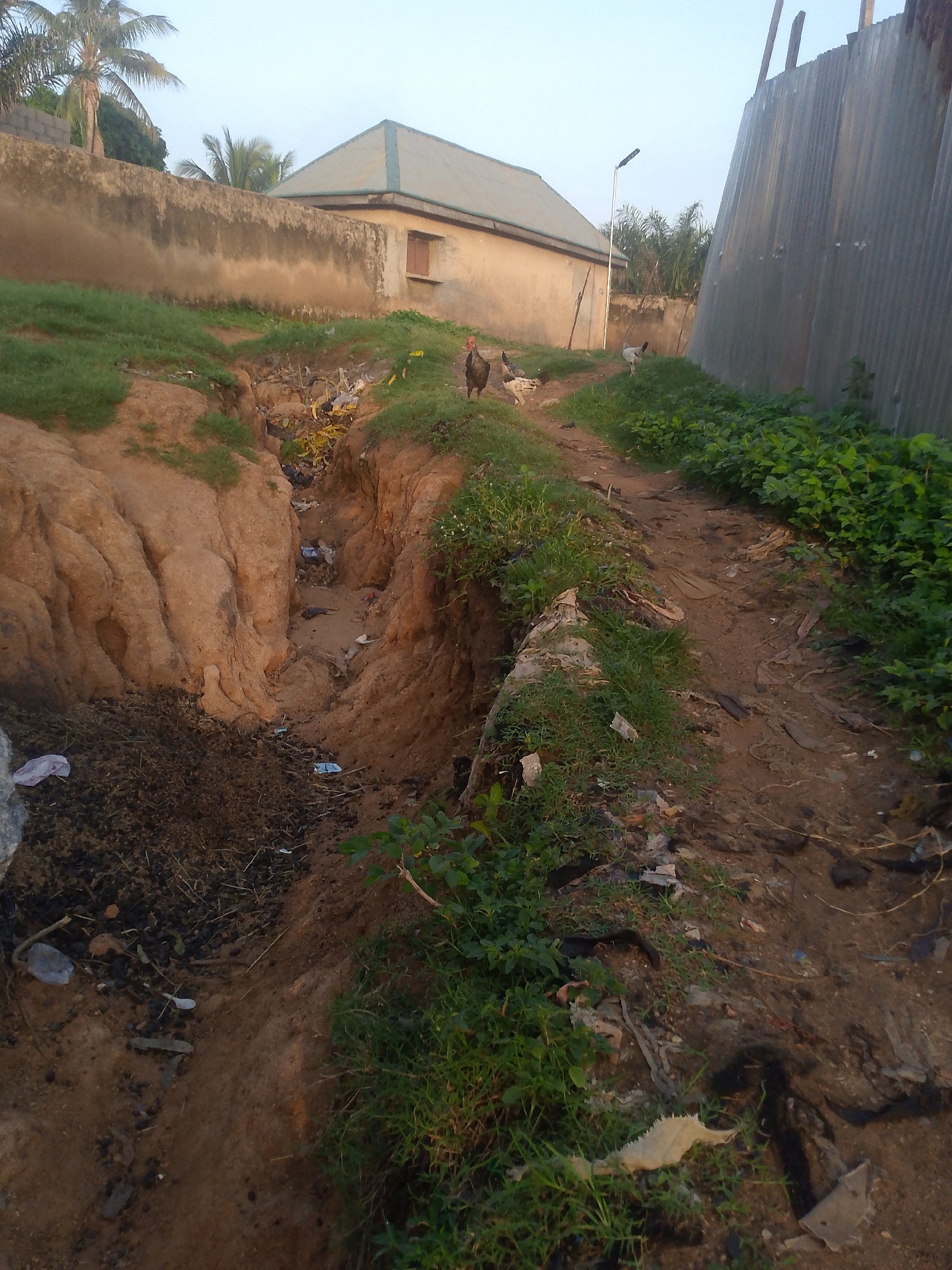 In an outdoor environment, a dirt path is visible, bordered by a steep, eroded embankment on the left and dense green foliage on the right. The embankment is composed of layered, reddish-brown soil and shows signs of erosion. Scattered on the path and within the embankment are various pieces of debris, including plastic bags, what appear to be discarded food items like banana peels, and other refuse. In the background, a low-lying building with a light-colored wall and a sloped roof can be seen. To the right of the building, a tall, corrugated metal structure stands. Several chickens are present on the path and the embankment. A single streetlight is also visible in the middle ground. The sky above is overcast and pale. The scene suggests an area with a lack of proper waste disposal.