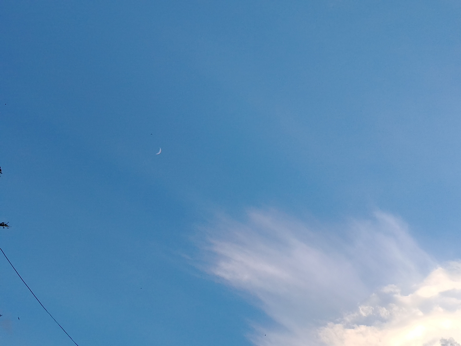 The image shows a clear blue sky with a crescent moon visible in the upper left quadrant. To the right of the moon, wispy white clouds stretch across the frame, with denser clouds at the bottom right corner. A thin, dark line, likely a wire or cable, runs diagonally from the bottom left corner upwards. There are a few small dark specks in the sky that might be birds. The lighting suggests it is daytime, possibly late afternoon or early evening given the presence of the moon. The overall scene is tranquil and natural. No text is visible in the image.