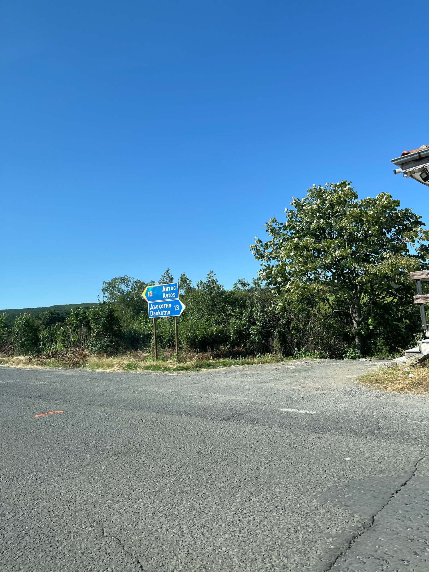 The image shows a road intersection with two blue directional signs. The upper sign points left and indicates "12 Aytos" in yellow text and Cyrillic script. The lower sign points right and indicates "13 Daskotna" in yellow text and Cyrillic script. The signs are mounted on a wooden pole.
The road in the foreground is asphalt and appears to be in good condition, with some minor cracks. There are some orange markings on the road to the left of the frame. To the right of the road, there is a gravel area with dry grass and some shrubbery.
In the background, there is a dense line of green trees and foliage, with a gently sloping hill behind them. The sky is clear and blue. A large tree with green leaves stands prominently on the right side of the frame. Partially visible in the upper right corner is a section of a building with a tiled roof and a gutter.
The scene depicts a rural road intersection in Yabalchevo, Bulgaria, likely in a somewhat remote or scenic area, given the natural landscape. There are no people visible in the image.