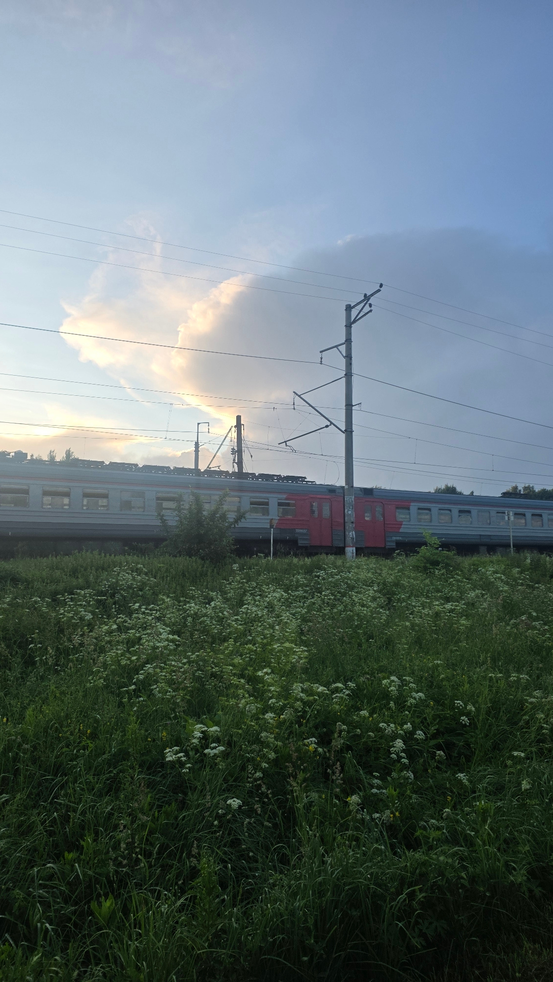 An outdoor, full-shot vertical composition captures a train passing through a grassy field under a cloudy sky. The train is gray with red accents and runs horizontally across the middle ground of the image. Overhead, power lines stretch across the frame, supported by utility poles. The foreground is dominated by a dense field of green grass and white wildflowers, with some trees visible in the distance. The sky is a mix of blue and gray clouds, with a bright patch of light peeking through on the left side. The scene appears to be in the village of Rassudovo, Russia, a rural area outside of Moscow known for its natural landscapes and railway lines.