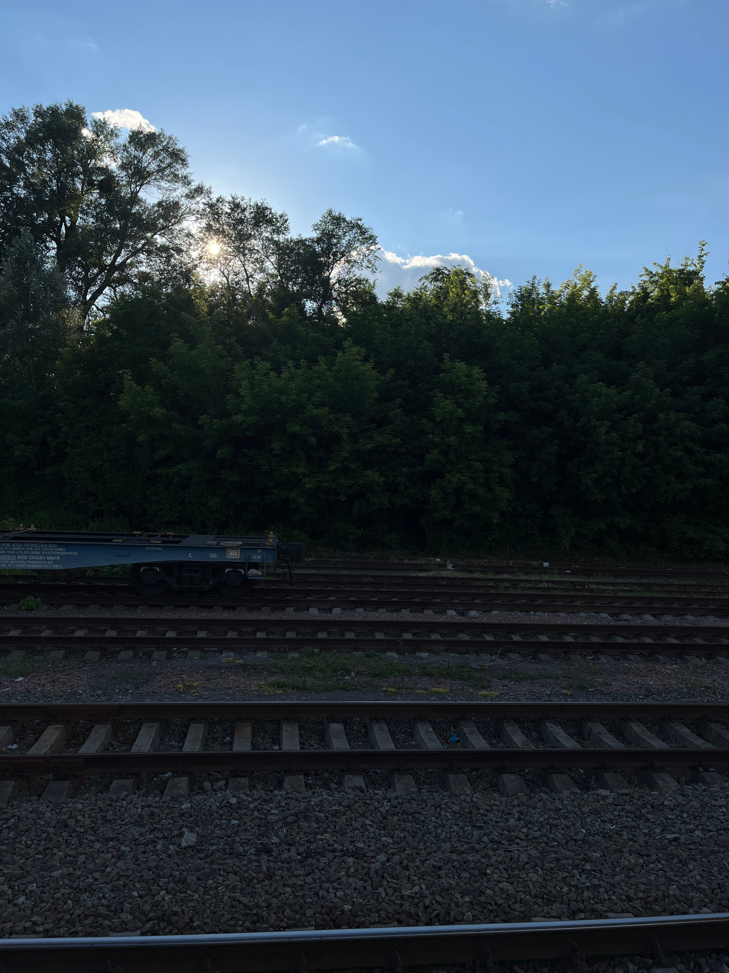 The image depicts a sunlit railway yard with multiple tracks running parallel in the foreground. The sun is partially obscured by trees and clouds in the background, creating a bright glare. A blue train car is visible on one of the tracks. The scene is framed by dense green trees on the horizon and a blue sky with scattered clouds above. The overall impression is of an industrial landscape bathed in natural light. The specific location in Kyiv, Ukraine is not discernible from the visual elements present in the image.