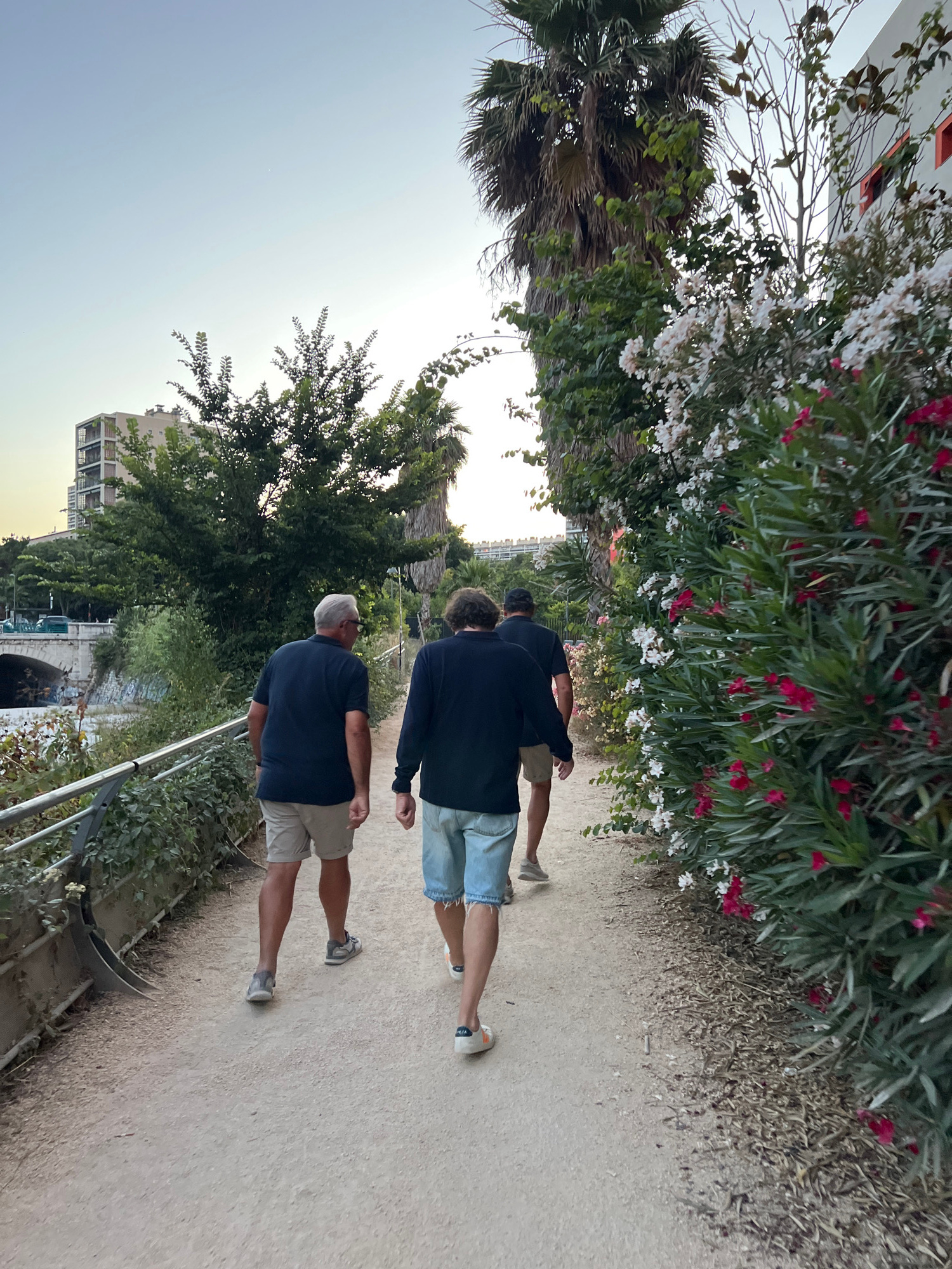 The image shows three men walking away from the camera on a sandy path lined with lush greenery and flowering bushes, including pink and white oleander. The path is bordered by a metal railing on the left. In the background, a multi-story building with balconies and a modern architectural style is visible, along with palm trees and other trees. A bridge can be seen in the far left background, suggesting the path runs alongside a waterway or canal. The sky is a pale blue, indicating it is either early morning or late afternoon. The overall impression is a leisurely stroll in a well-maintained urban park or promenade. The architecture of the building in the background is consistent with buildings found in coastal cities, potentially in the southern part of France. Given the characteristic oleander bushes and palm trees, this scene could be located in Marseille, France, perhaps along the Prado Corniche or a similar waterfront area.
