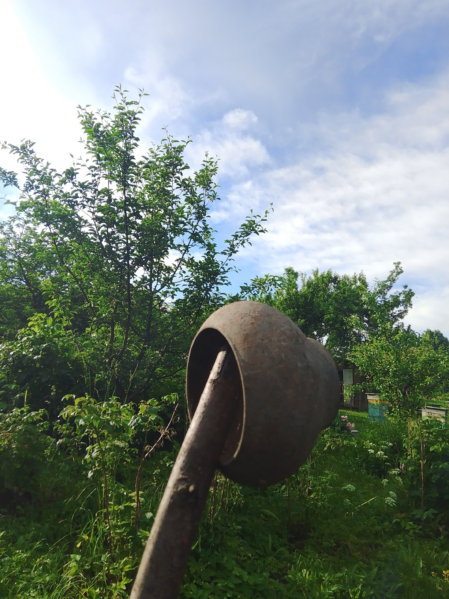 In a natural, outdoor setting, a close-up perspective features a rustic, weathered metal object with a wide, circular opening. This object is mounted on a thick, textured metal pole that extends into the foreground, obscuring part of the view. Behind the metal object, a lush green landscape unfolds, dominated by dense foliage and trees with abundant leaves. The vegetation appears healthy and vibrant, suggesting a natural or rural environment. In the background, several beehives with colorful facades are visible, indicating an apiary or a location where beekeeping is practiced. The sky above is a dynamic mix of bright blue and scattered white clouds, hinting at fair weather. The overall scene conveys a sense of rural tranquility and the integration of man-made structures with the natural environment.