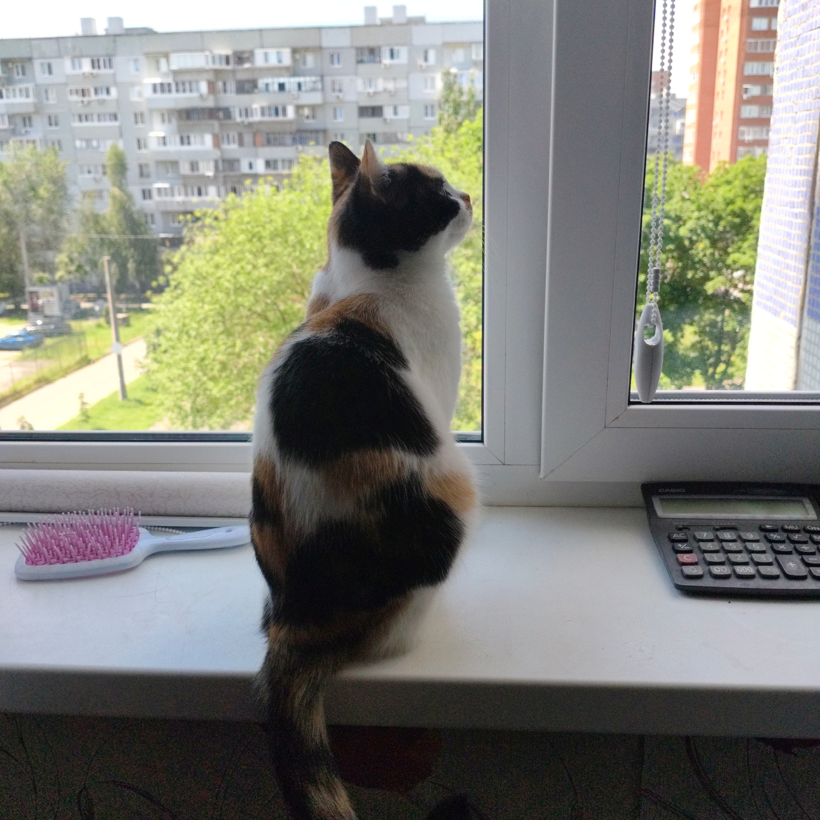 The image shows a calico cat sitting on a windowsill, looking out a window. The cat is facing away from the camera and its body is mostly visible. Outside the window, there are apartment buildings and trees, suggesting an urban environment. A pink hairbrush and a black calculator are also present on the windowsill. The scene is captured indoors, with the window providing a view of the outside.