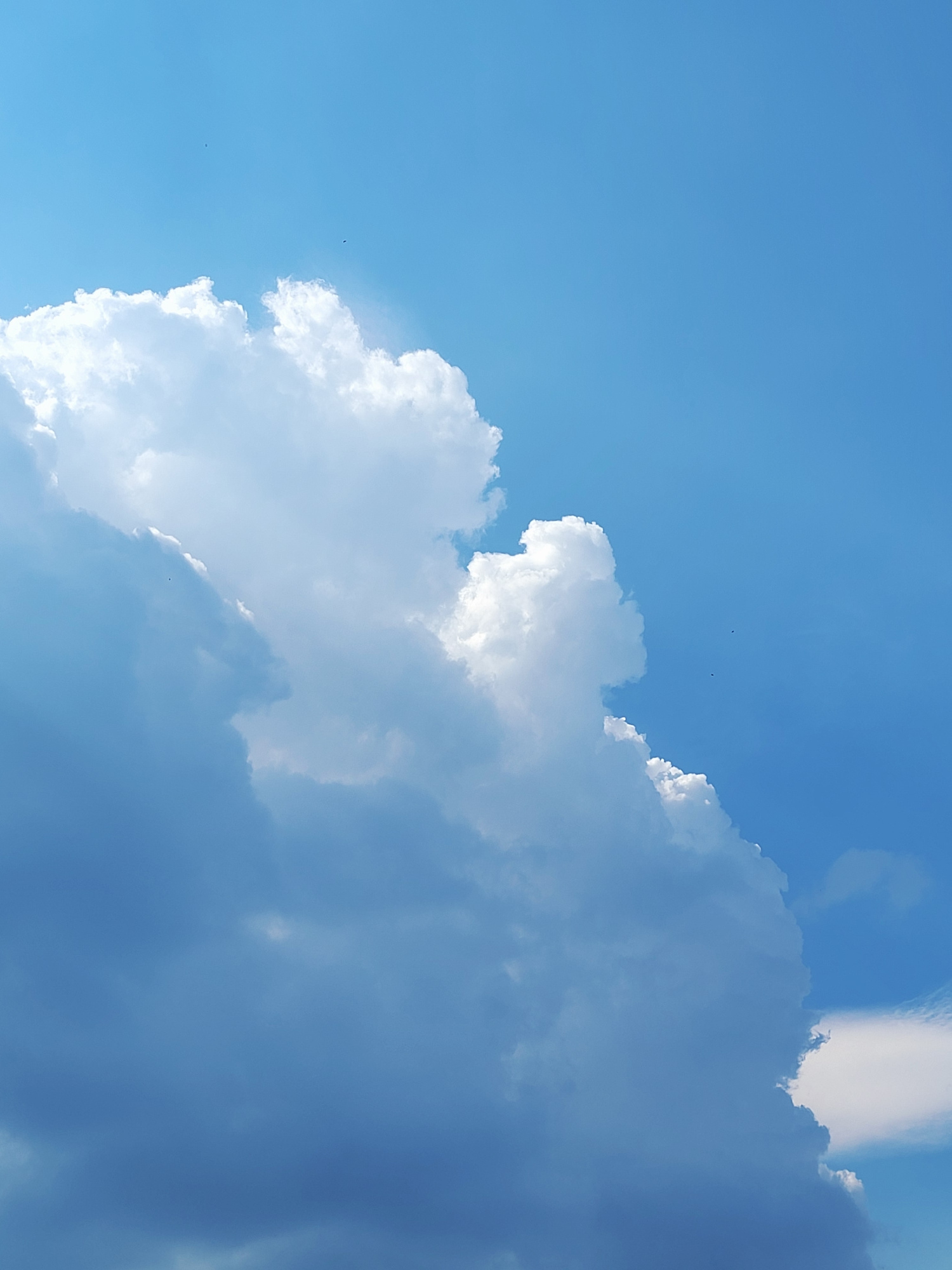 A low-angle shot captures a bright blue sky with dramatic, voluminous clouds. A large, fluffy cumulus cloud dominates the left and center of the frame, catching the sunlight and appearing brilliantly white at its peak. Towards the bottom and left, the cloud transitions to a darker, bluer hue, suggesting depth and shadow. Scattered throughout the clear sky are two small, dark dots, potentially birds or distant aircraft. The scene is likely a daytime shot, given the strong illumination and clear visibility. The location is Unknown, Unknown.