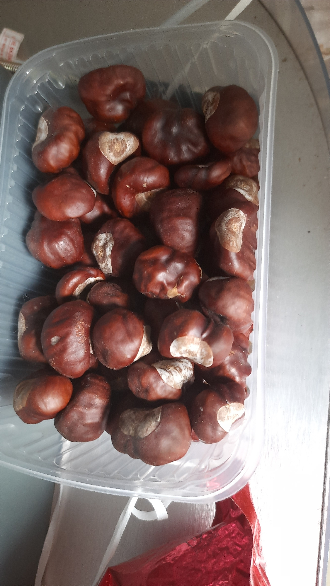 A clear plastic container filled with horse chestnuts is shown. The container is placed on a surface, possibly a table, which appears to be metallic. The horse chestnuts are various shades of brown and have a smooth, glossy surface. Some of them have a lighter, pale patch where they were attached to the stem. The container is approximately half-full. The lighting suggests an indoor environment. No specific location in Desnogorsk, Russia is discernible from the image.