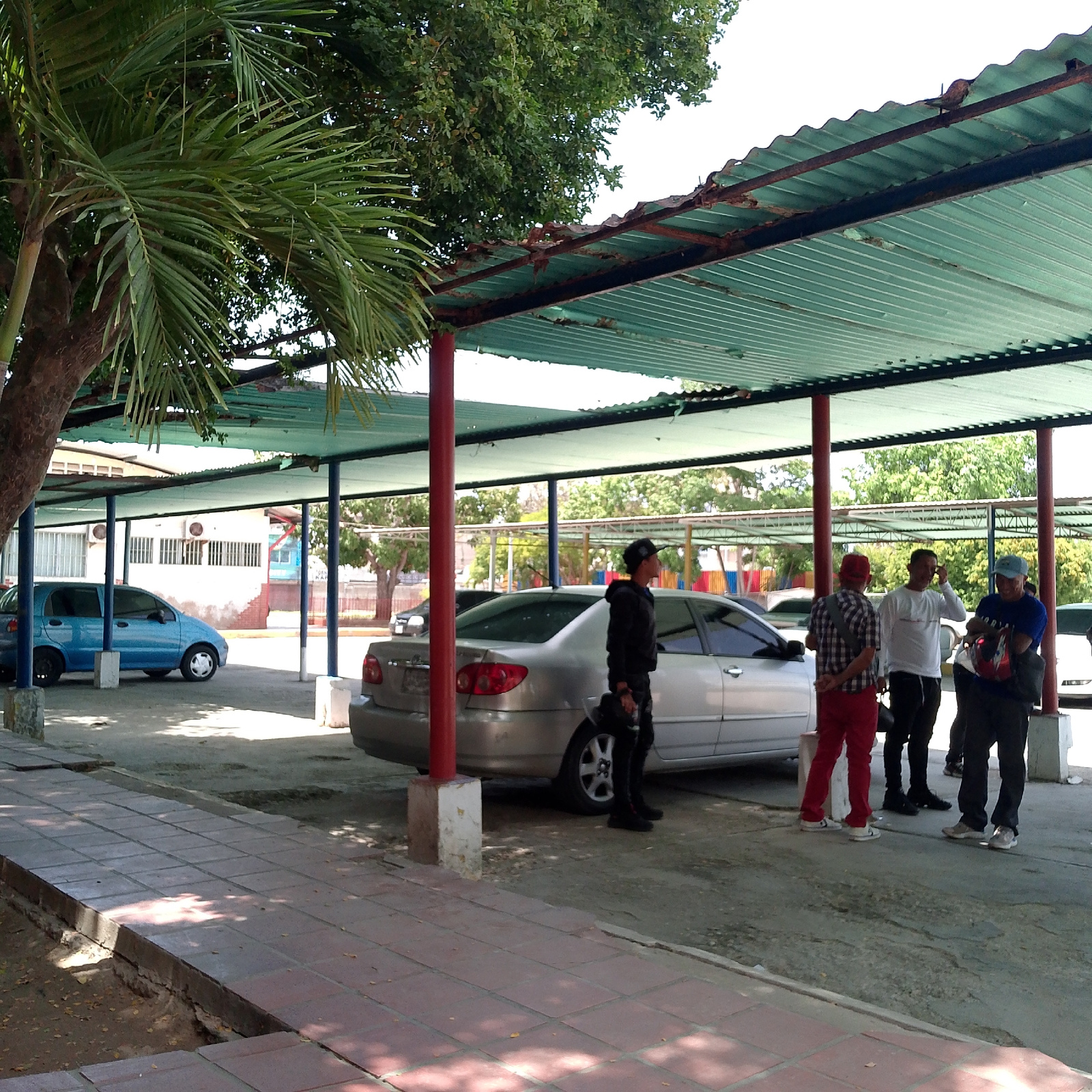 A bright, horizontal, medium-angle outdoor shot captures a covered parking area with multiple cars and several men standing around. The structure consists of a teal corrugated metal roof supported by blue and red metal poles. A large palm tree is visible on the left, with its fronds partially obscuring the view. In the foreground, a red tiled walkway runs along a concrete curb, with scattered leaves and sunlight casting shadows.
To the left, a small, blue hatchback car is parked under the cover. Further back, a silver sedan is parked under the same structure. A man in a black jacket and pants stands to the right of the silver sedan, facing away from the camera. Three other men are gathered to the right of the silver sedan. The man on the far left wears a red cap and a plaid shirt with red pants. The middle man wears a white long-sleeved shirt and black pants. The man on the right wears a blue cap and a blue t-shirt with dark pants. One of the men is holding a red and white motorcycle helmet.
In the background, a white building with multiple windows and air conditioning units is visible. Trees with green foliage are scattered throughout the scene. The overall environment appears to be a sunny day in Porlamar, Venezuela, likely a public space or parking lot associated with a building.