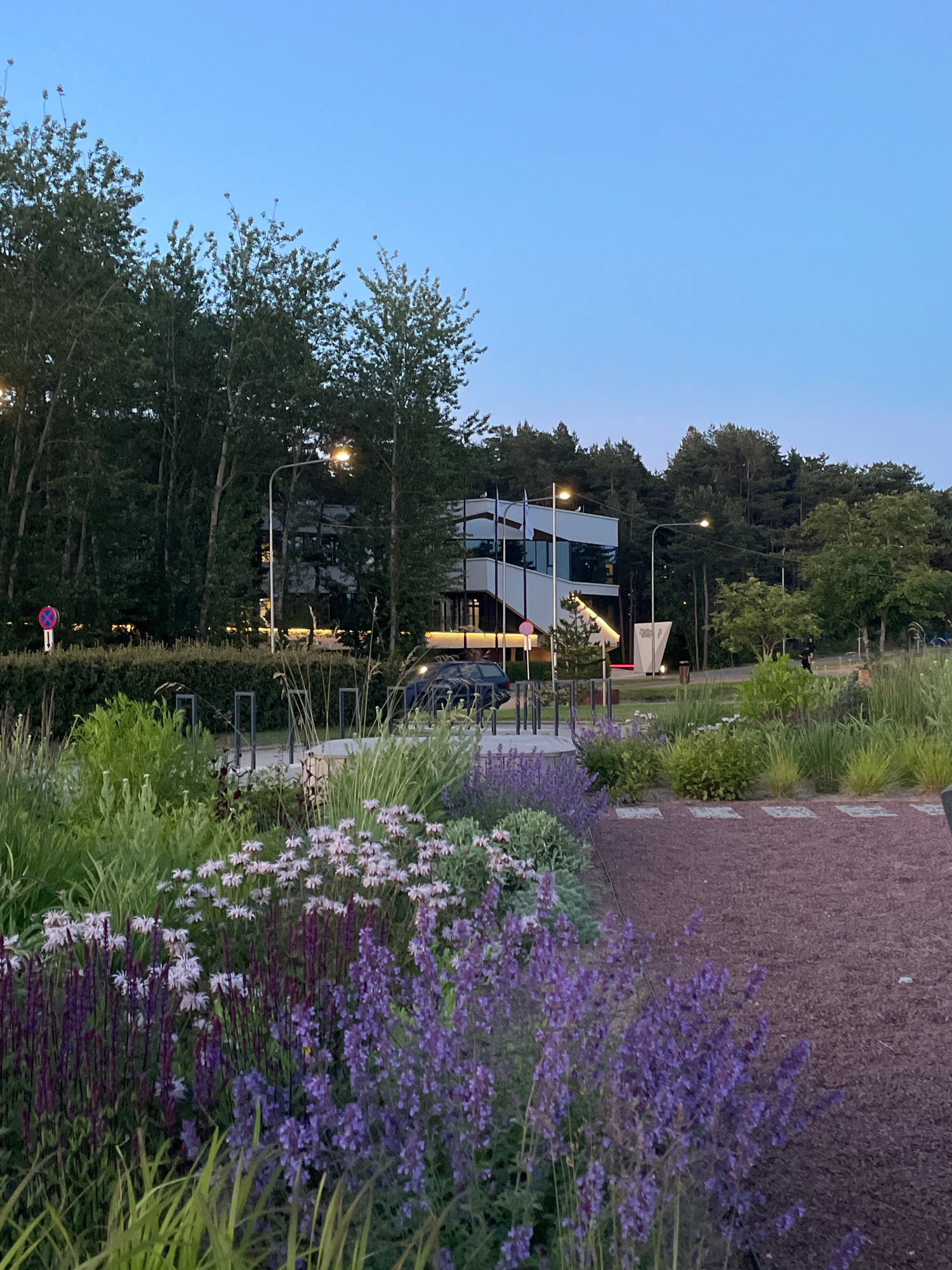 The image depicts a modern building with a white facade, featuring large windows and sharp angles, situated amidst a dense forest line in Tallinn, Estonia. In the foreground, a garden bed is filled with various plants, including tall, slender green stalks, clusters of small white flowers, and vibrant purple flowering bushes. A gravel path or area is visible to the right of the garden. In the background, a car is parked, and streetlights illuminate the scene. The sky is a clear twilight blue, suggesting it is early evening.