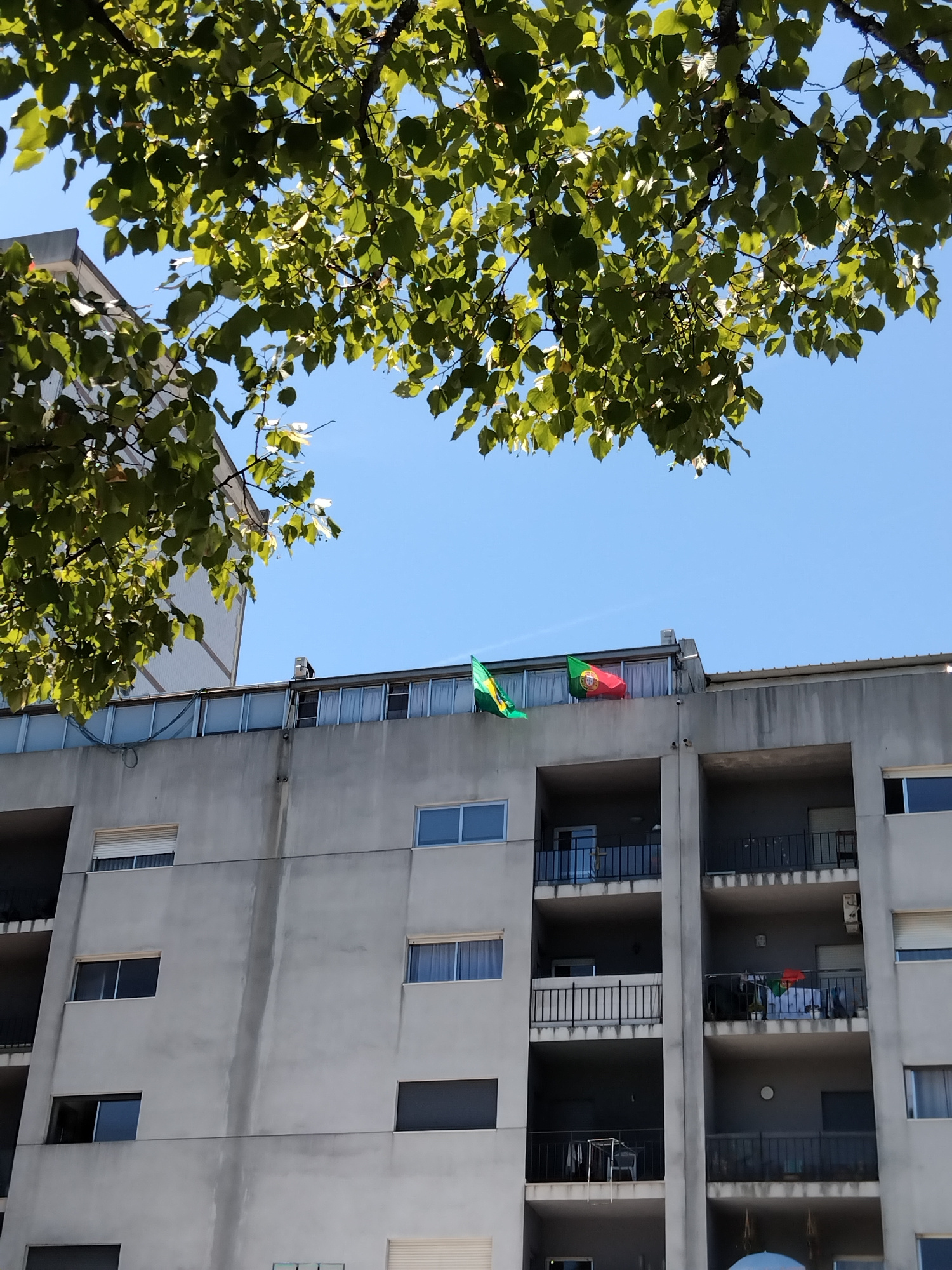 The image shows the facade of a modern, multi-story apartment building under a clear blue sky, partially obscured by the leaves of a tree in the foreground. The building is constructed of grey concrete with numerous windows and balconies. On the rooftop, two flags are flying: the flag of Portugal and another flag which appears to be the flag of Brazil. The flags are mounted on poles and are visible against the sky. The building has a relatively uniform architectural style, with rectangular windows and dark-railed balconies. There are no people visible in the image. The scene suggests a residential area in a city. The presence of the Portuguese flag is consistent with the location being in Portugal. Vila Nova de Famalicão is a city in Portugal, and this image is a typical representation of an apartment building found in such an urban environment.