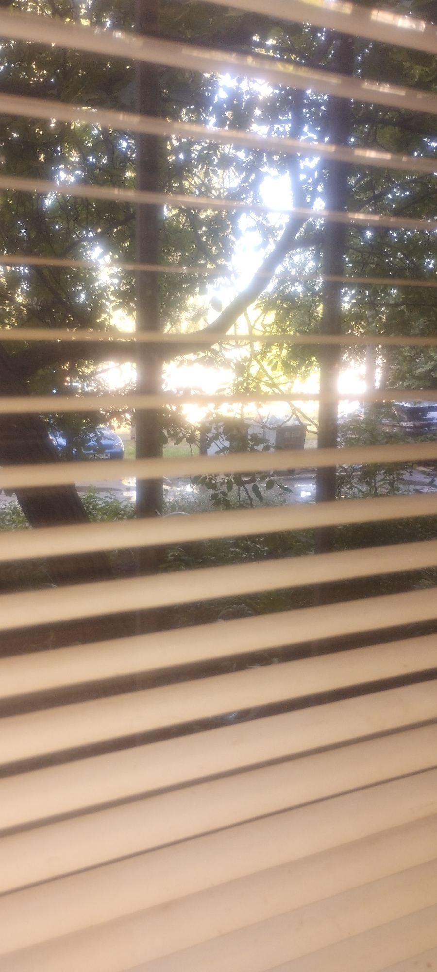 The image shows a view through horizontal window blinds, looking out at a treed area with sunlight filtering through the leaves. In the middle ground, a blue car is parked, and behind it, a gray dumpster or storage container is visible. The environment appears to be an outdoor space, possibly a backyard or a street with greenery. The light suggests it is daytime, with the sun positioned behind the trees, creating a bright, almost silhouetted effect. There are no people clearly visible in the image, and no specific actions or interactions can be identified. The location is specified as Zaporizhzhia, Ukraine, though the image itself does not contain any explicit identifiers of this location.