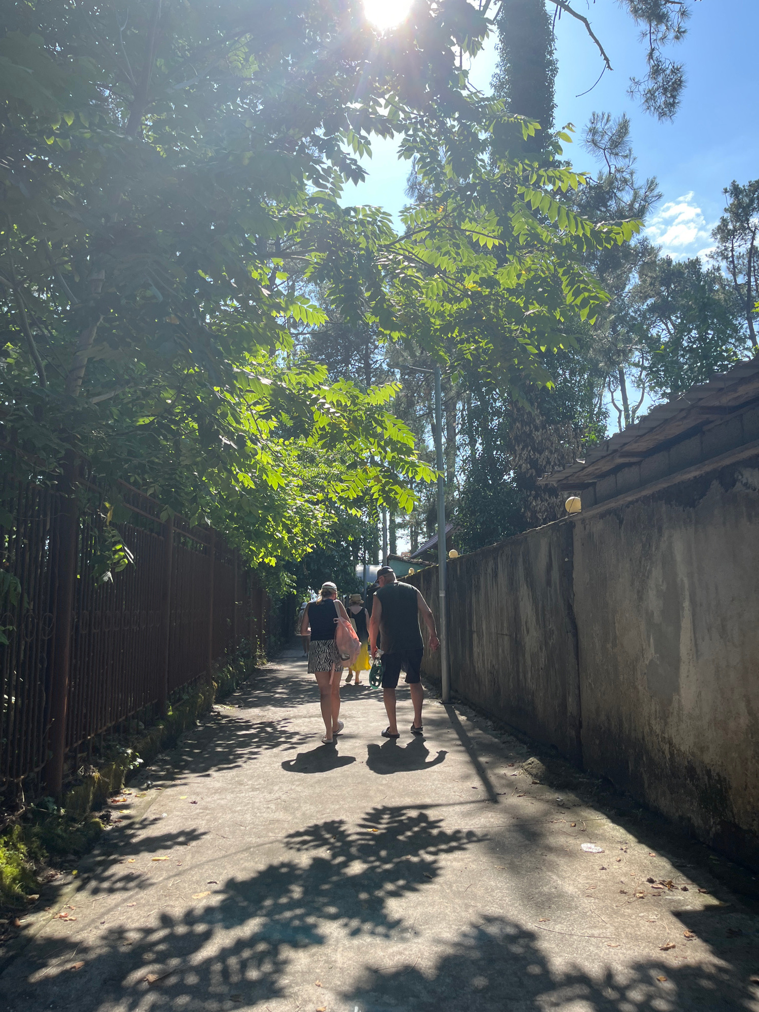 This media file captures a group of people walking along a paved path in Ureki, Georgia. The scene is outdoors, bathed in bright sunlight, suggesting it is daytime, likely mid-morning or afternoon, given the strong shadows cast by the trees. The weather appears to be clear and sunny, with a bright blue sky visible through the lush green foliage.
The path is bordered on one side by a tall, rough-textured concrete wall, and on the other by a dark metal fence, behind which more greenery is visible. Overhanging trees and branches with vibrant green leaves create a dappled shade on the path, with distinct leaf patterns visible in the shadows.
Several individuals are walking along the path. One person in the foreground is wearing a dark top and a patterned skirt, carrying a light-colored bag. Another person in front of them appears to be wearing shorts and a dark t-shirt. The group seems to be casually strolling, possibly engaged in recreational activity or simply enjoying the outdoors.
Notable details include the sun's glare, creating lens flare on the left side of the image, and the detailed shadows of the foliage on the ground. The overall atmosphere is one of a relaxed, pleasant day in a natural, somewhat urbanized setting. There is no visible text within the image.