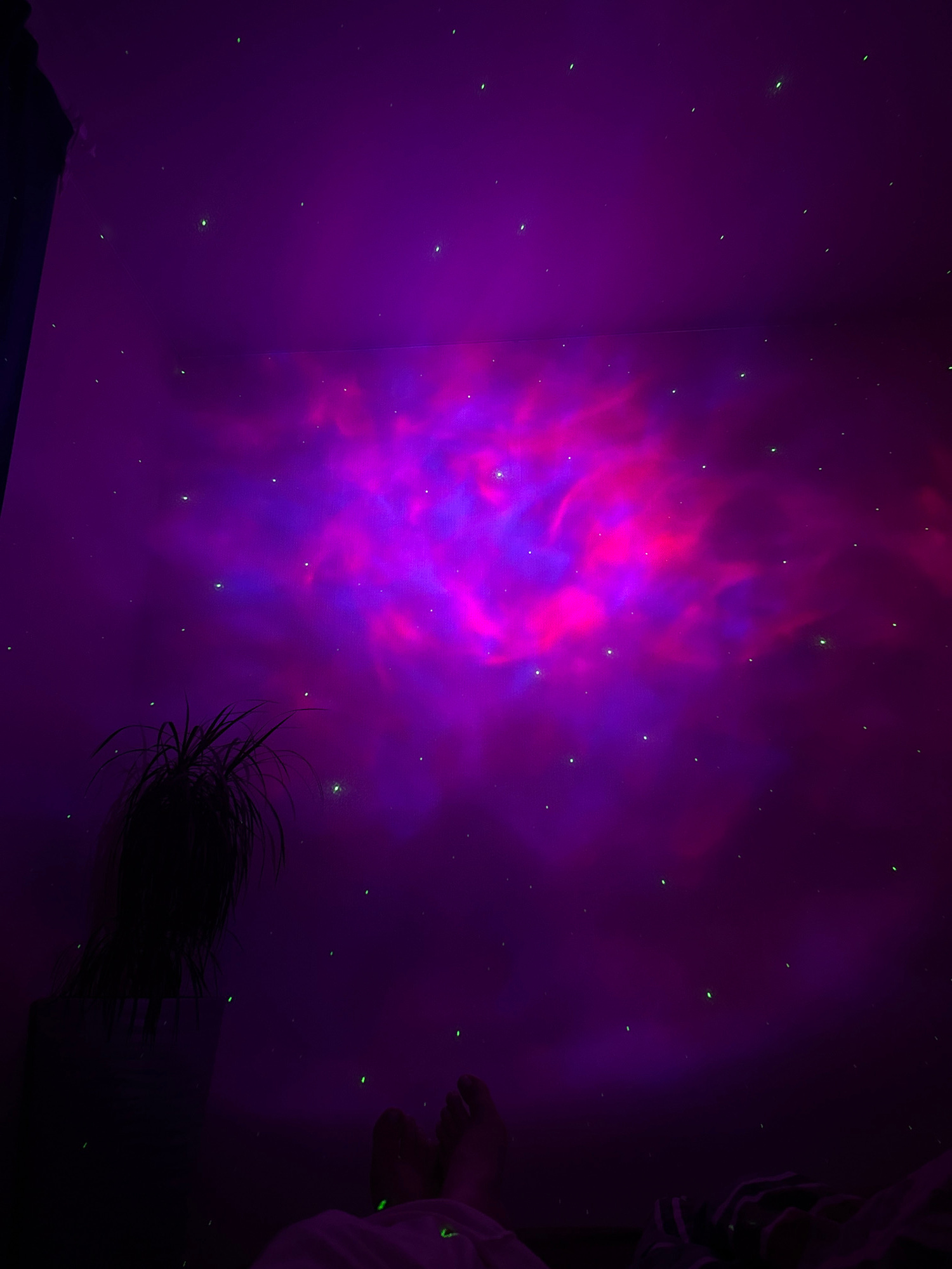 An overhead shot captures a ceiling illuminated with a galaxy projector. The projector casts a vibrant purple and pink nebula cloud across the ceiling, interspersed with numerous small green dots representing stars. In the lower left corner, a dark silhouette of a potted plant with spiky leaves is visible. In the lower right corner, a person's feet are visible, resting on a surface covered with striped fabric. The overall scene depicts a dimly lit room with a projected celestial display. The location in the city of Perm, Russia is not discernible from the image.