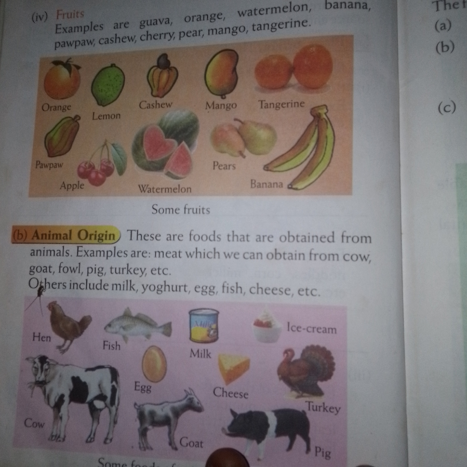 The image displays educational material from a book, specifically detailing types of food based on their origin. The top section, labeled "(iv) Fruits", features illustrations of various fruits like orange, lemon, cashew, mango, tangerine, pawpaw, apple, watermelon, pears, and banana, with their names printed below. Below this is a section labeled "(b) Animal Origin", which explains that these are foods obtained from animals and provides examples such as meat (from cow, goat, fowl, pig, turkey), milk, yogurt, egg, fish, and cheese. The latter section also includes illustrations of a hen, fish, cow, egg, goat, milk, cheese, ice cream, and turkey. The background appears to be a page from a book, possibly in a classroom or library setting, but no specific city or location details are visible.