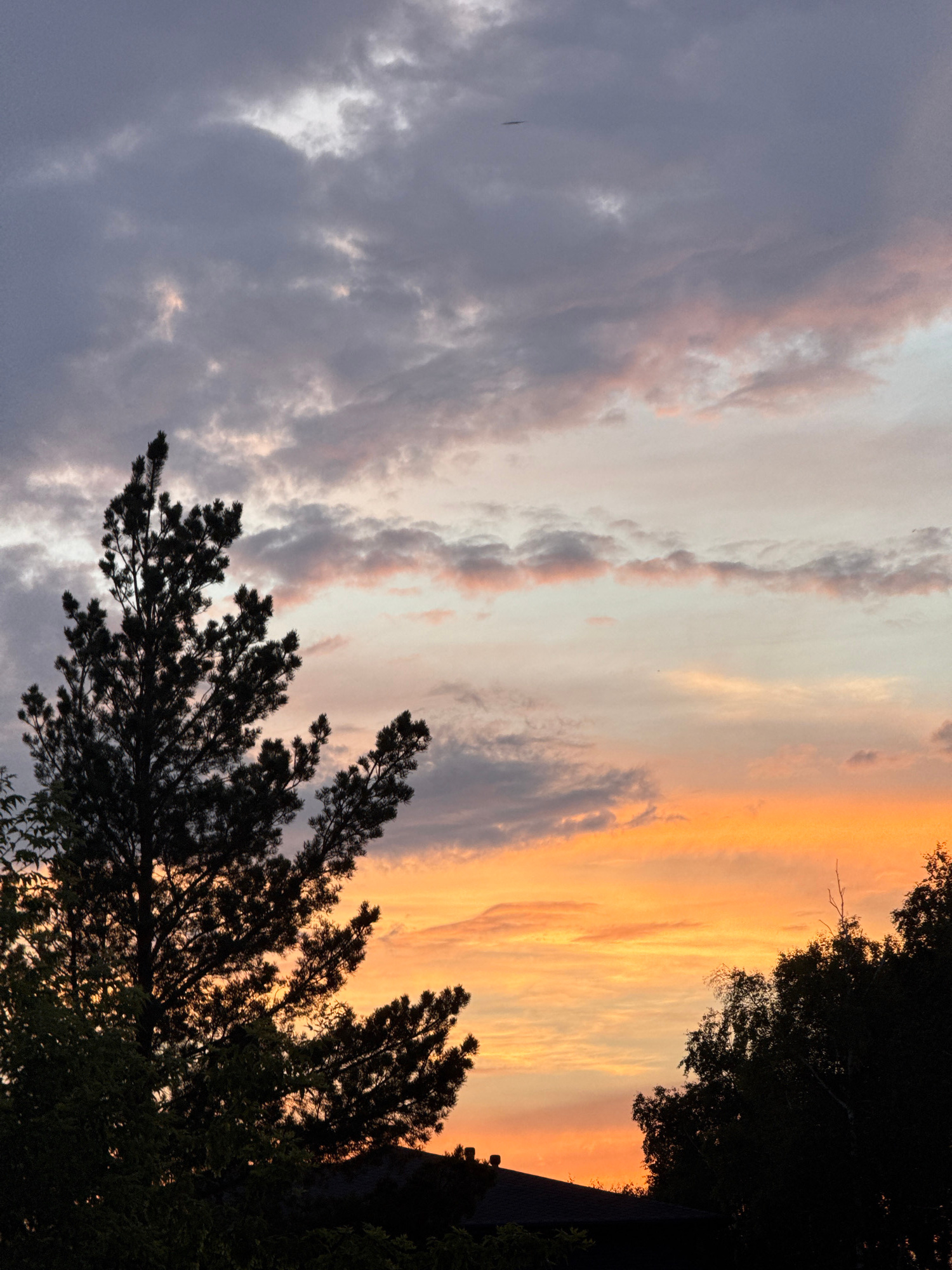 This image captures a dramatic sunset over Kokshetau, Kazakhstan. The sky is a canvas of contrasting colors, with the left side dominated by dark, heavy clouds tinged with pale pink and grey. These clouds transition into a vibrant band of orange and yellow stretching across the right side of the frame, indicating the setting sun. Silhouetted against this fiery sky are the dark, dense forms of trees. Their branches, some appearing feathery and pine-like, frame the lower and right portions of the image. A dark, angular shape, possibly a rooftop or a building, is visible in the far right background, partially obscured by foliage. The overall impression is one of a serene yet powerful natural display, with the fading light casting deep shadows and highlighting the dynamic interplay of light and dark. The image appears to be taken from a low angle, looking upwards towards the sky.