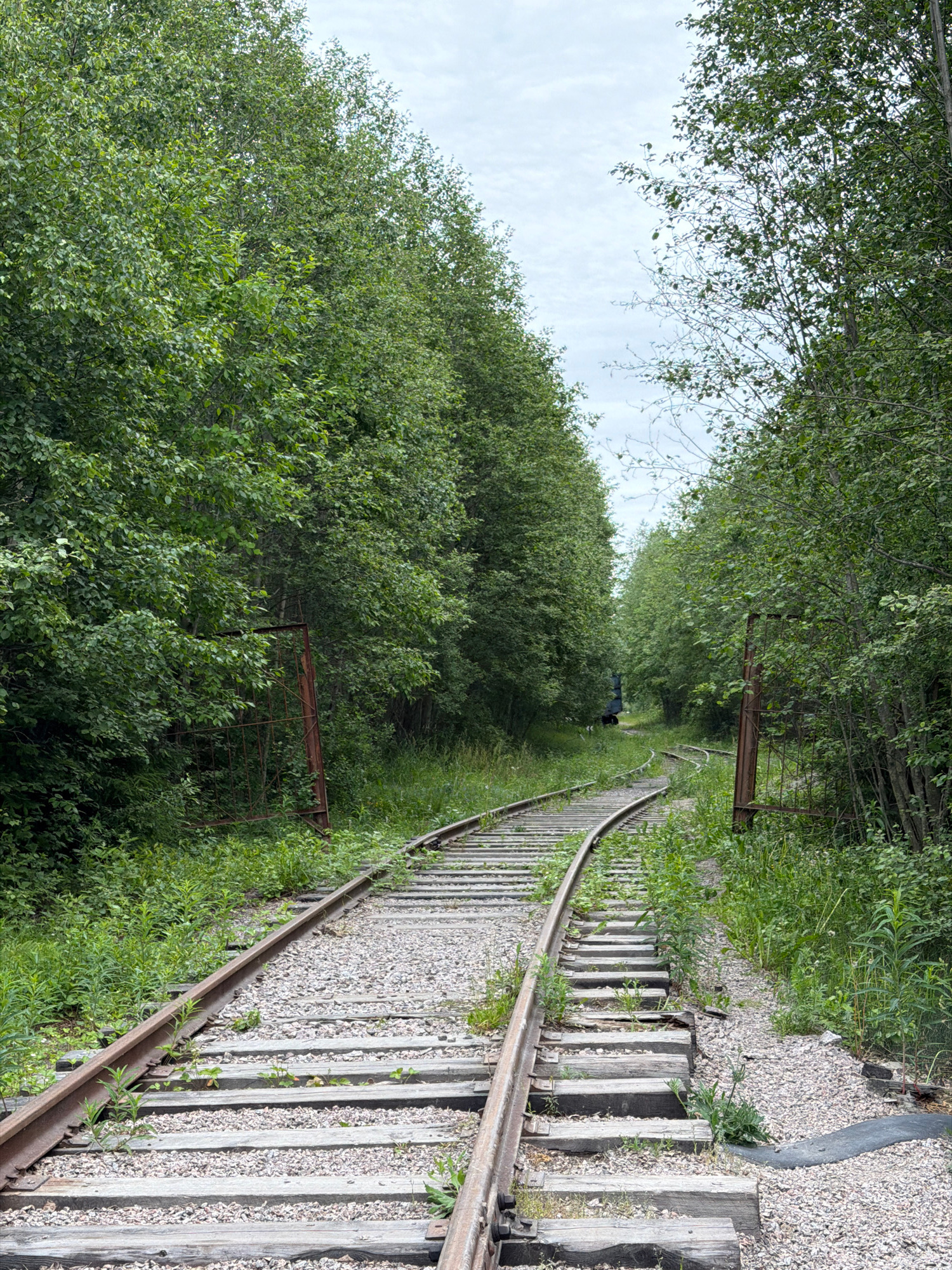 The image shows a railroad track curving through a dense forest. The tracks are made of metal rails laid on wooden sleepers and covered with gravel. Overgrown vegetation, including tall grass and bushes, encroaches on the tracks. On the right side of the track, there is a rusty metal gate. In the background, a dark blue structure, possibly a train car, is visible. The sky is overcast with light clouds. The scene is located near the city of Kuznechnoye, Russia.