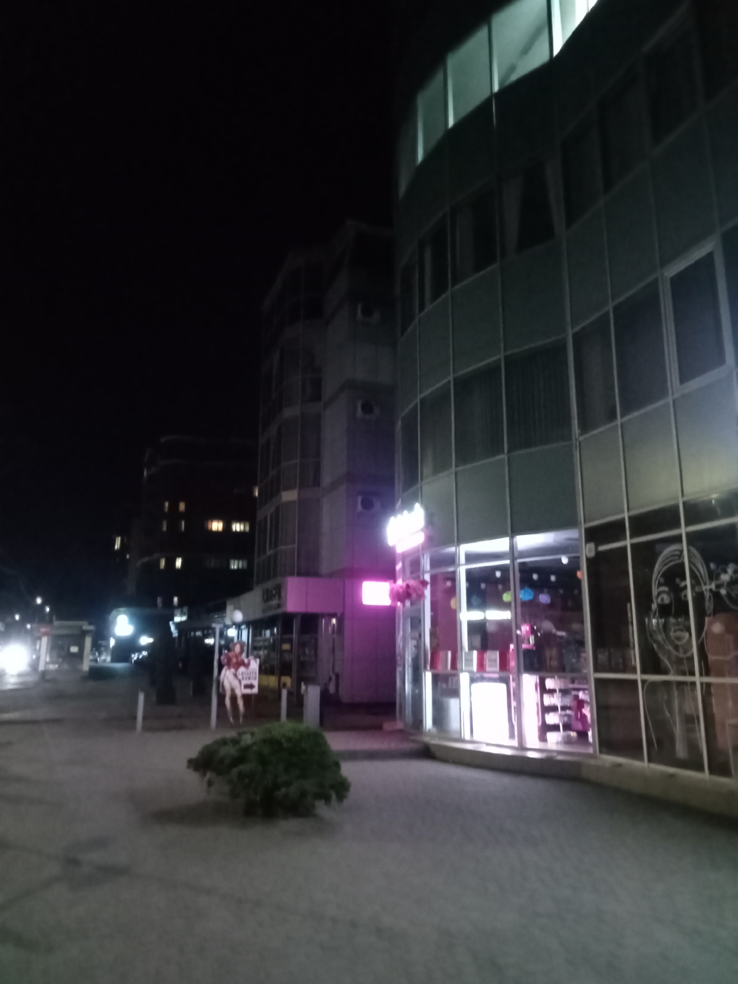 The image captures a nighttime street scene in Khmelnytskyi, Ukraine, showcasing a modern, multi-story building with a curved facade and large glass windows. The building's interior is illuminated, revealing shelves stocked with merchandise and a bright, possibly refrigerated, display unit. A stylized drawing of a person's head is visible on one of the windows. To the left, a lower building with lit windows suggests other establishments. In the foreground, a well-maintained, dense green bush sits on the pavement. A street sign with a depiction of a person and text, possibly advertising, is also present. The scene is illuminated by streetlights and the internal lighting of the buildings, with headlights from a vehicle visible in the distance, creating a typical urban night atmosphere.
