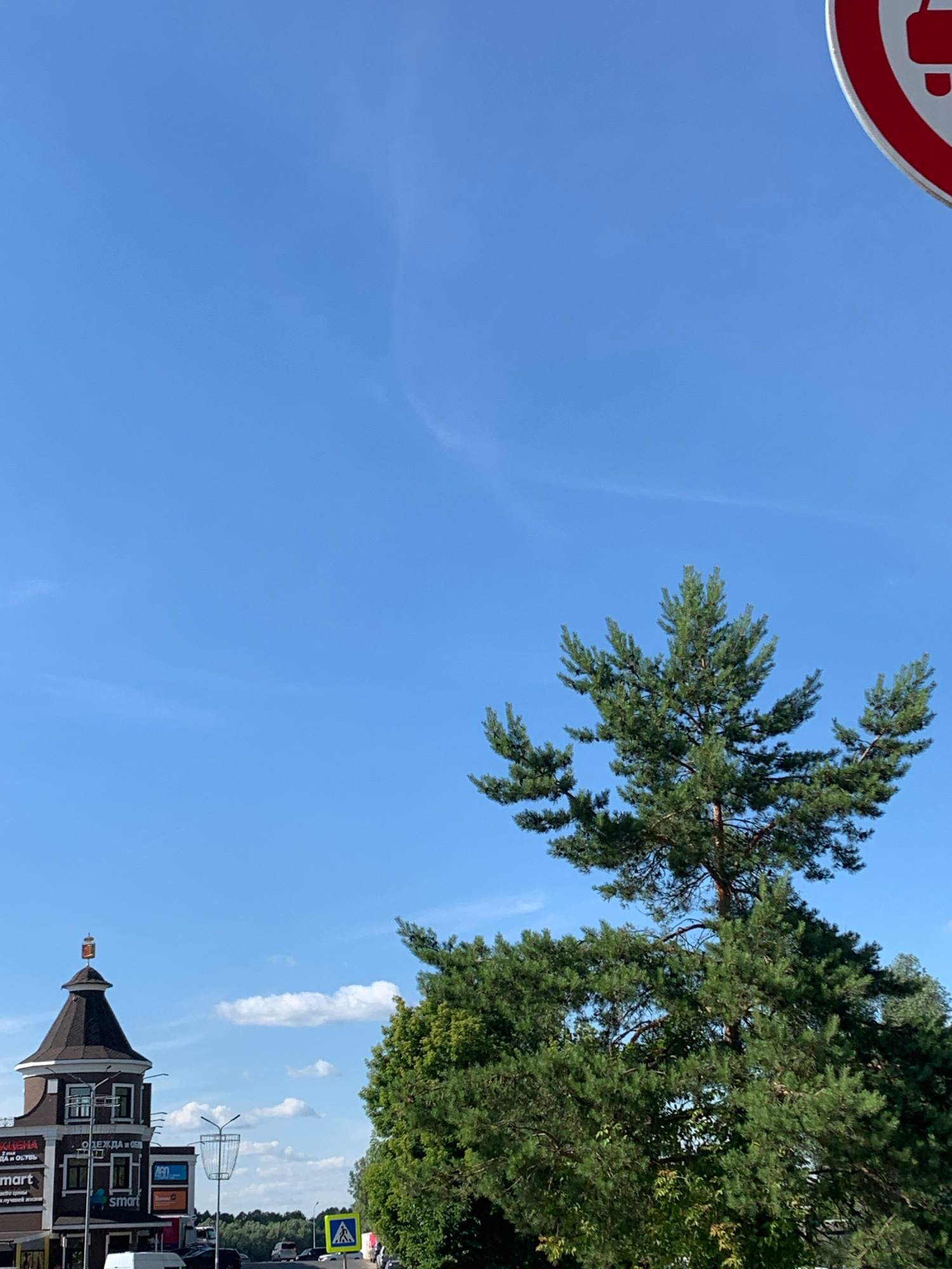 This is a vertical, eye-level, medium shot of a bright blue sky with some wispy clouds. In the upper left corner, a red and white circular sign is partially visible, indicating a prohibition. A large pine tree with lush green needles dominates the upper right portion of the frame, its branches reaching across the sky. In the background, a building with a dark, pointed roof and multiple windows is visible, along with some storefronts. There is some text visible on the storefronts, including "Smart" and "ОДЕЖДА И ОБУВЬ" (clothing and footwear). A yellow pedestrian crossing sign is also visible on the right side of the frame. The scene appears to be set during the daytime, under clear, sunny weather, likely in a town or city given the presence of buildings and signage.