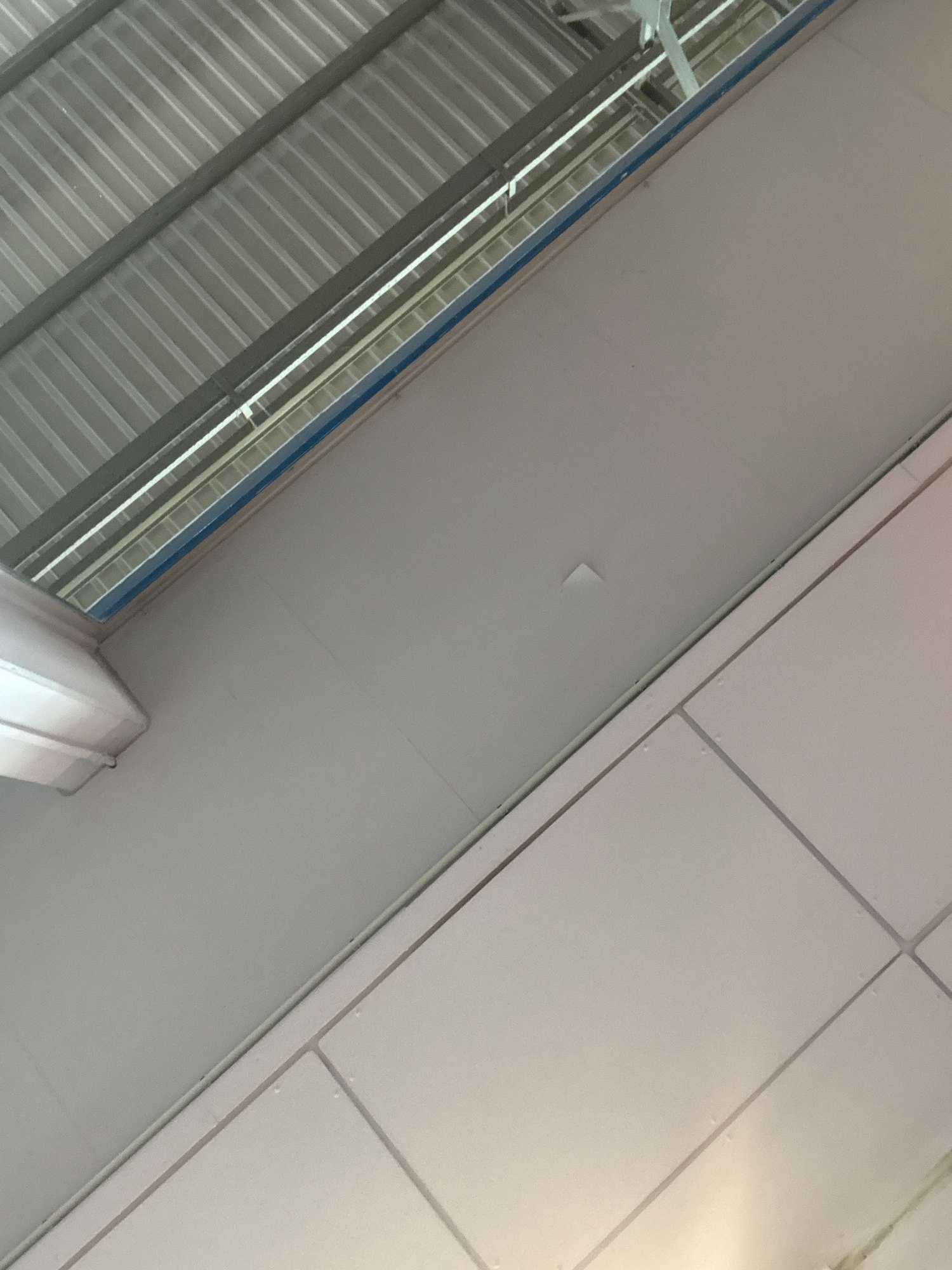 The image shows an interior ceiling structure. The ceiling is composed of large, off-white panels framed by thin, darker lines, suggesting a suspended ceiling system. Above this, a section of corrugated metal roofing is visible, supported by metal beams. A blue strip runs horizontally between the corrugated metal and the suspended ceiling. The scene is indoors and appears to be a commercial or industrial space. The lighting is diffused and appears to be artificial. The image does not contain any people or identifiable landmarks that would indicate a specific location in Eindhoven, Netherlands.